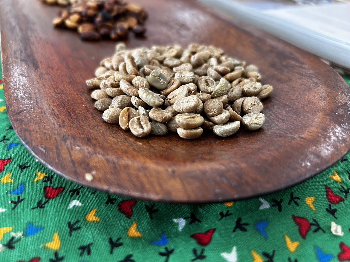 Close-up of green coffee beans on a wooden plate, with roasted coffee beans in the background, on a colorful cloth with patterns.