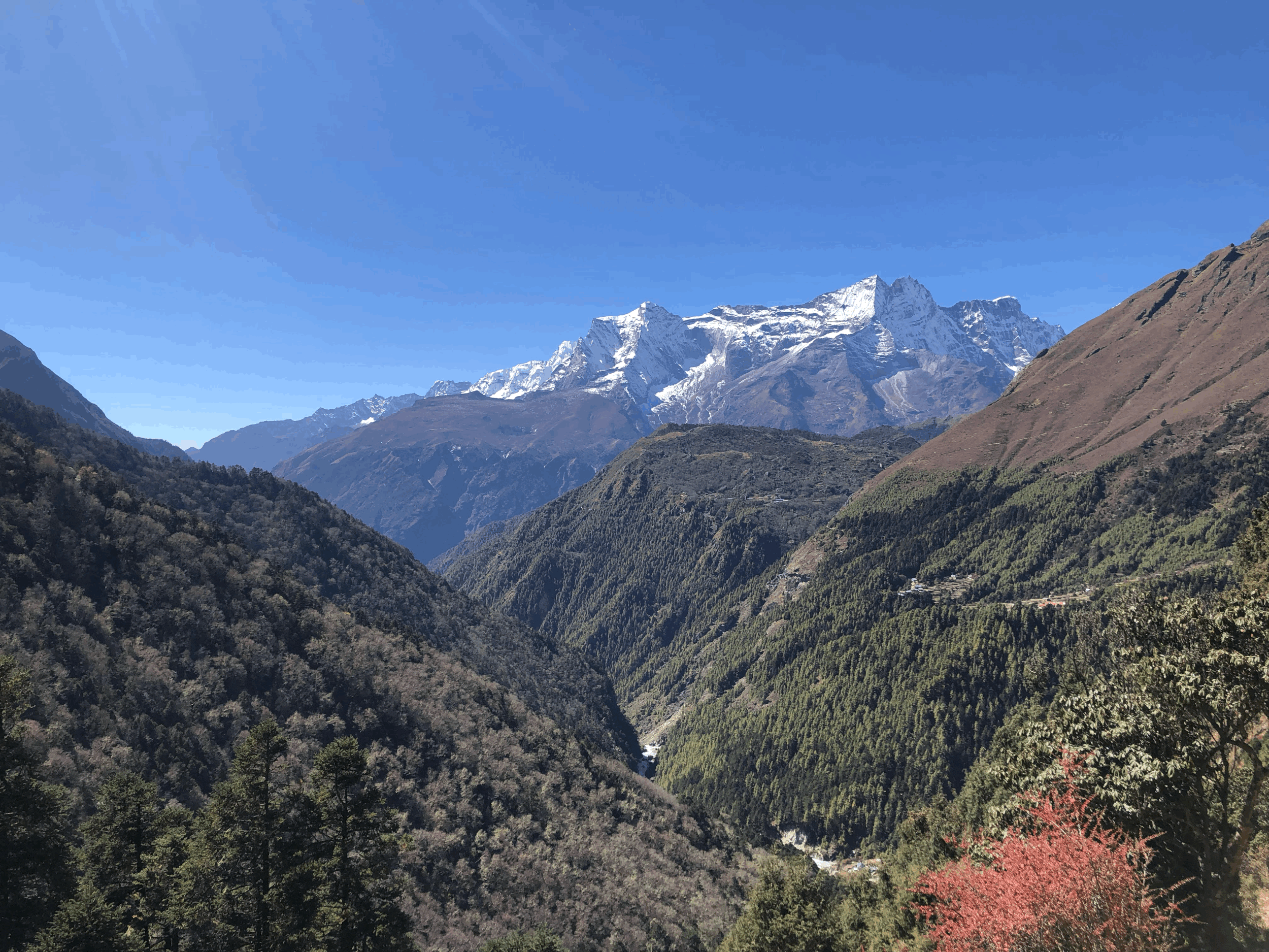 Scenic view of snow-capped mountains in the distance, green forested hills in the foreground, and a clear blue sky.