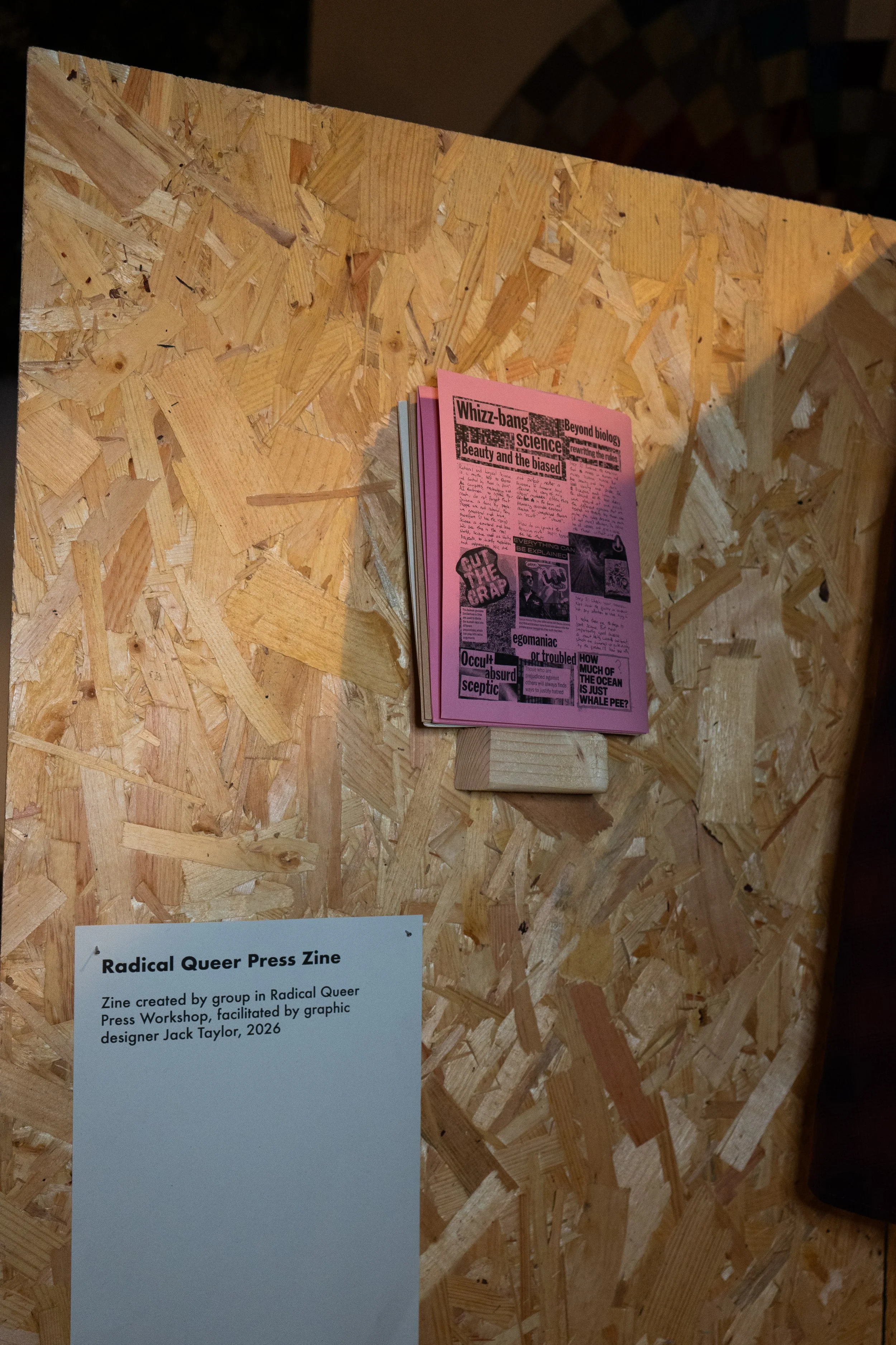 QBG_RadicalQueerCrafts-73.jpg