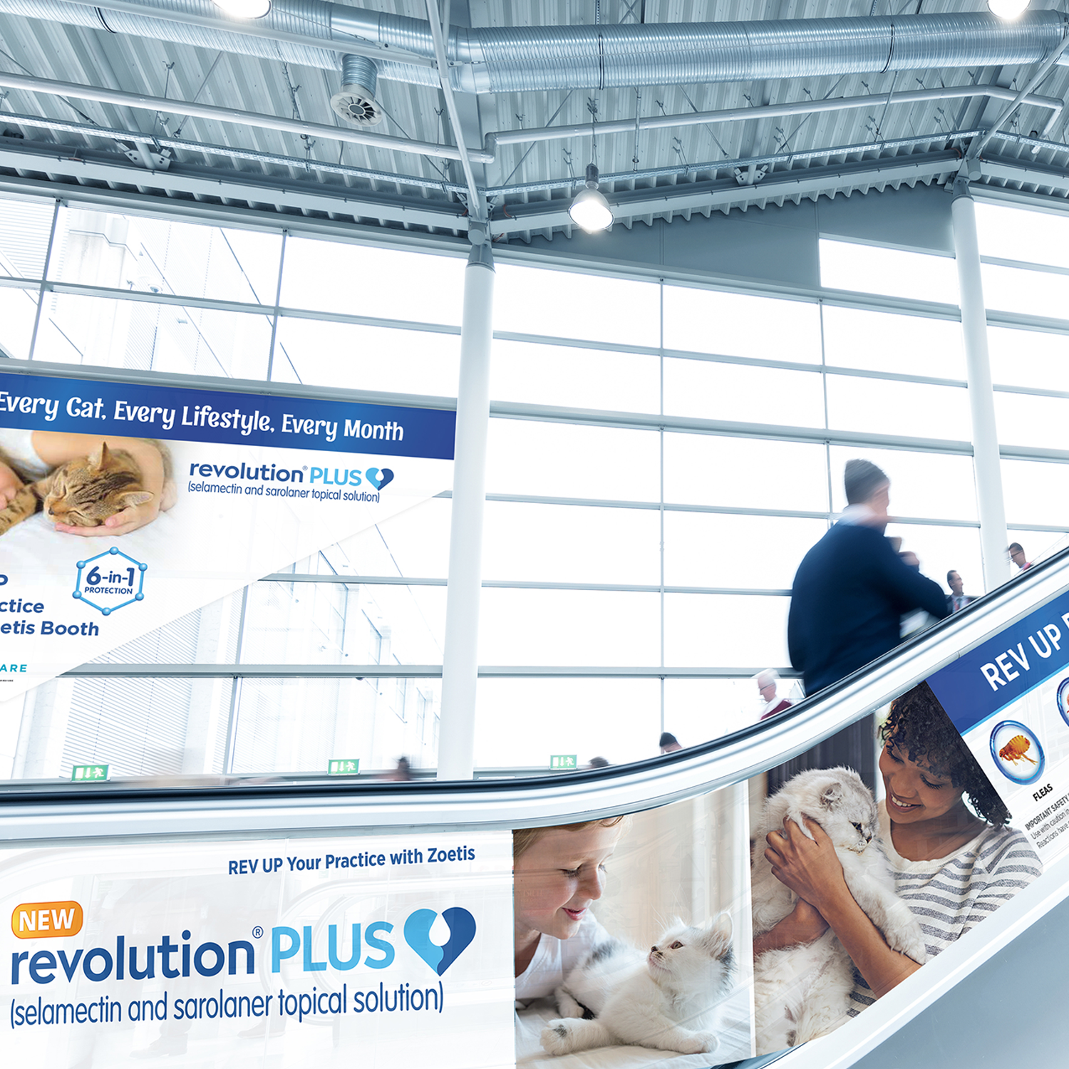 Revolution Plus environment