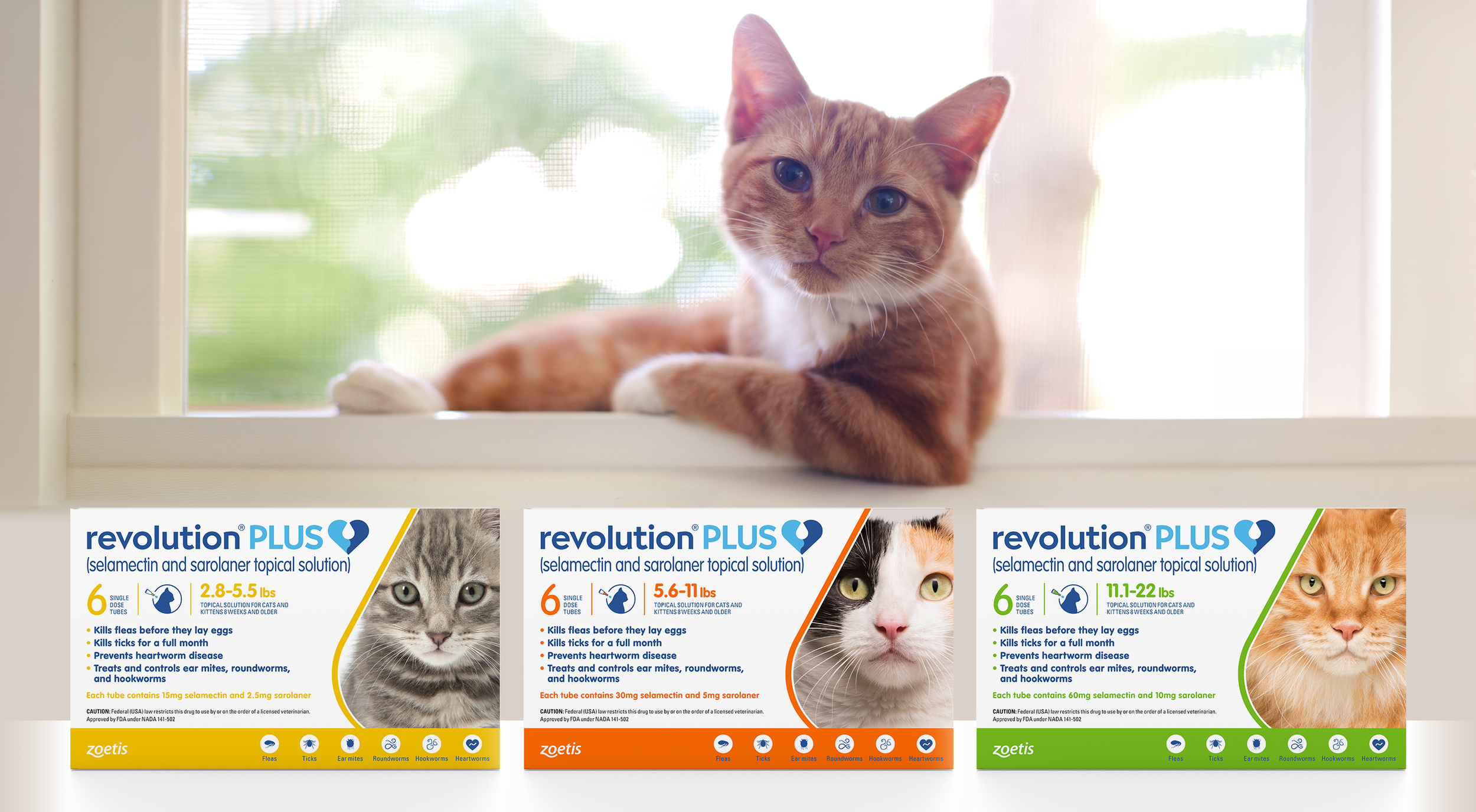 Revolution Plus packaging