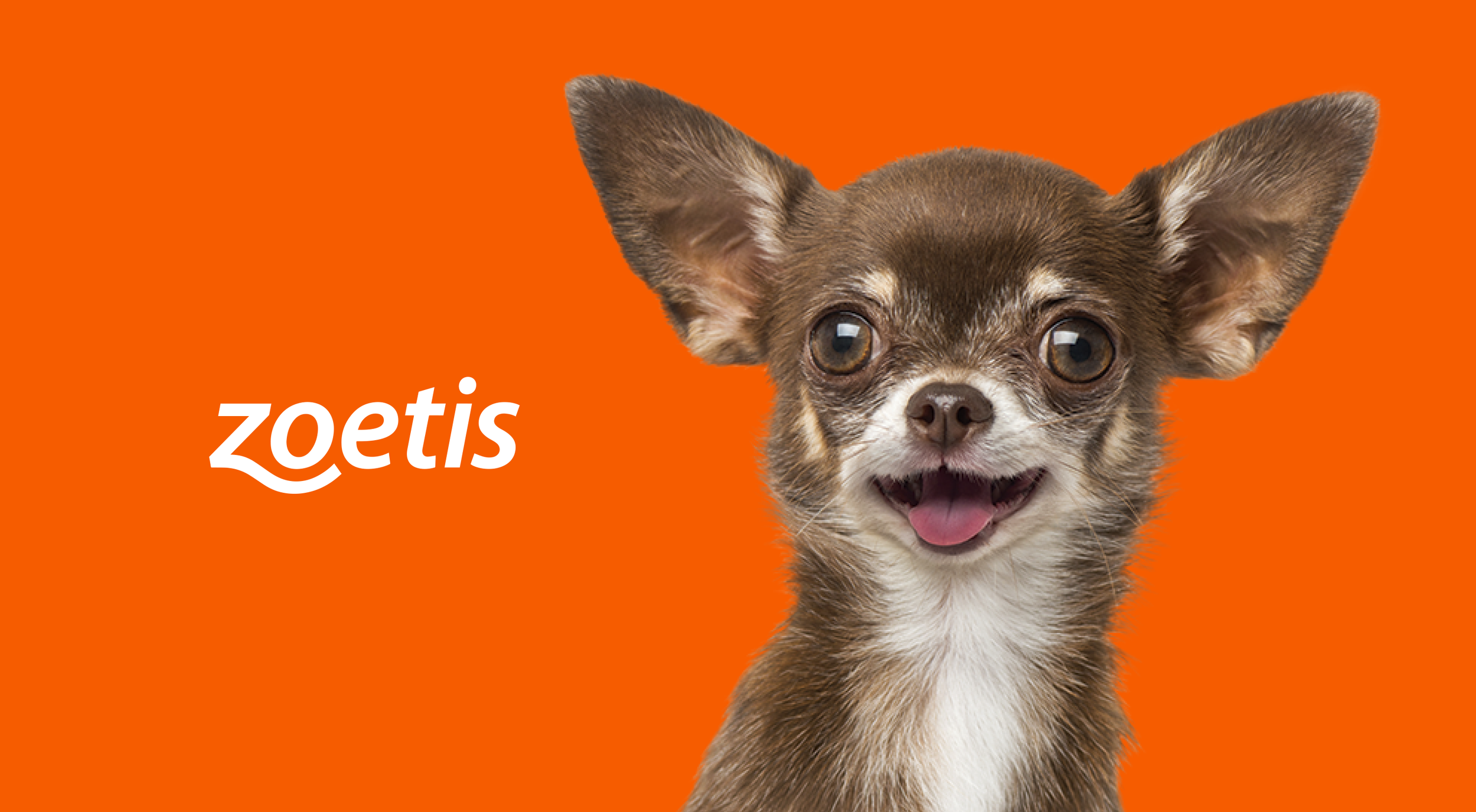 Zoetis logo with dog