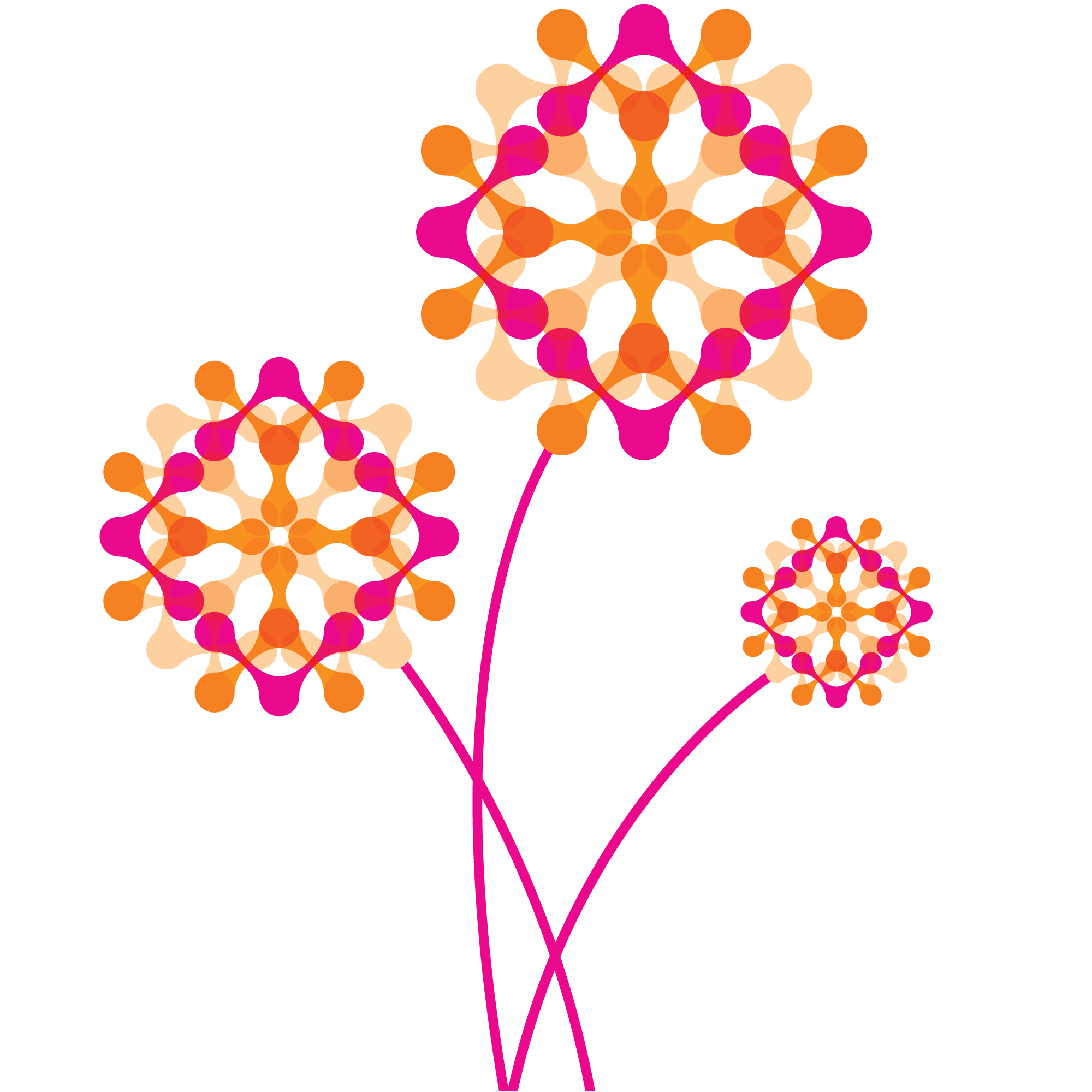 flowers.png