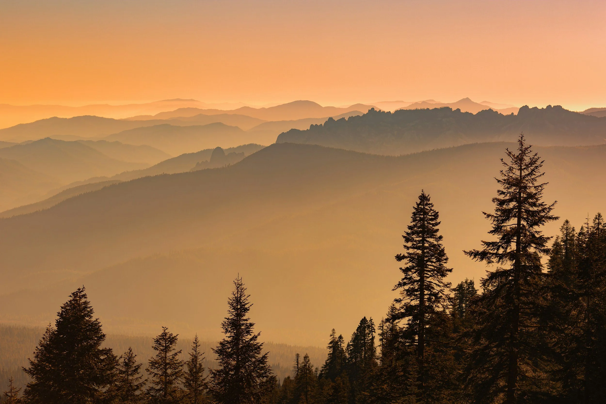 Sunset over multilayered mountain ranges with silhouetted pine trees in the foreground.