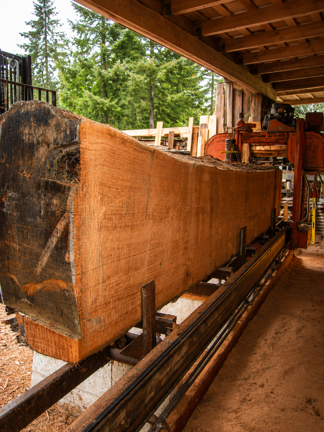 A large wooden log being cut on a sawmill, with forest trees visible in the background and the inside of a wooden shed.
