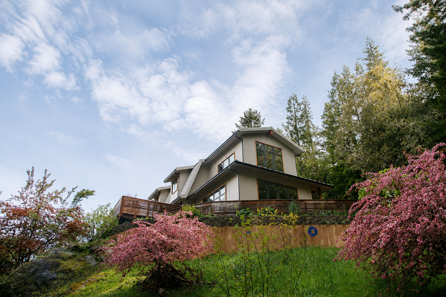 A modern house with large windows on a hillside, surrounded by trees and pink flowering bushes, under a blue sky with clouds.
