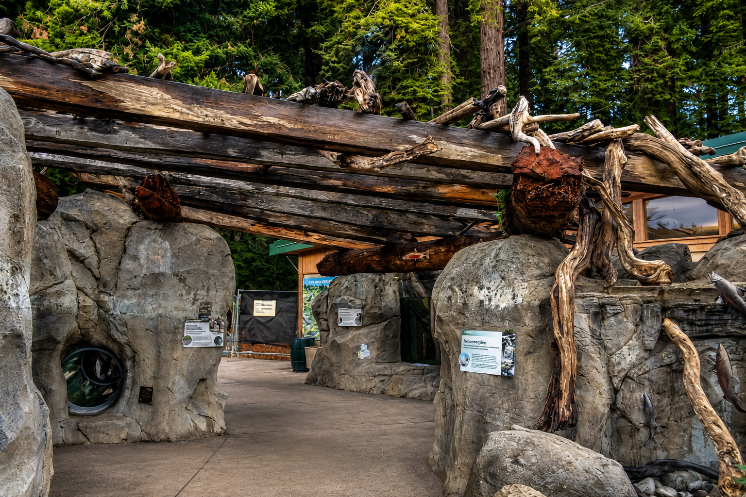 Outdoor zoo exhibit with large rocks, driftwood, and informational signs surrounded by tall trees.