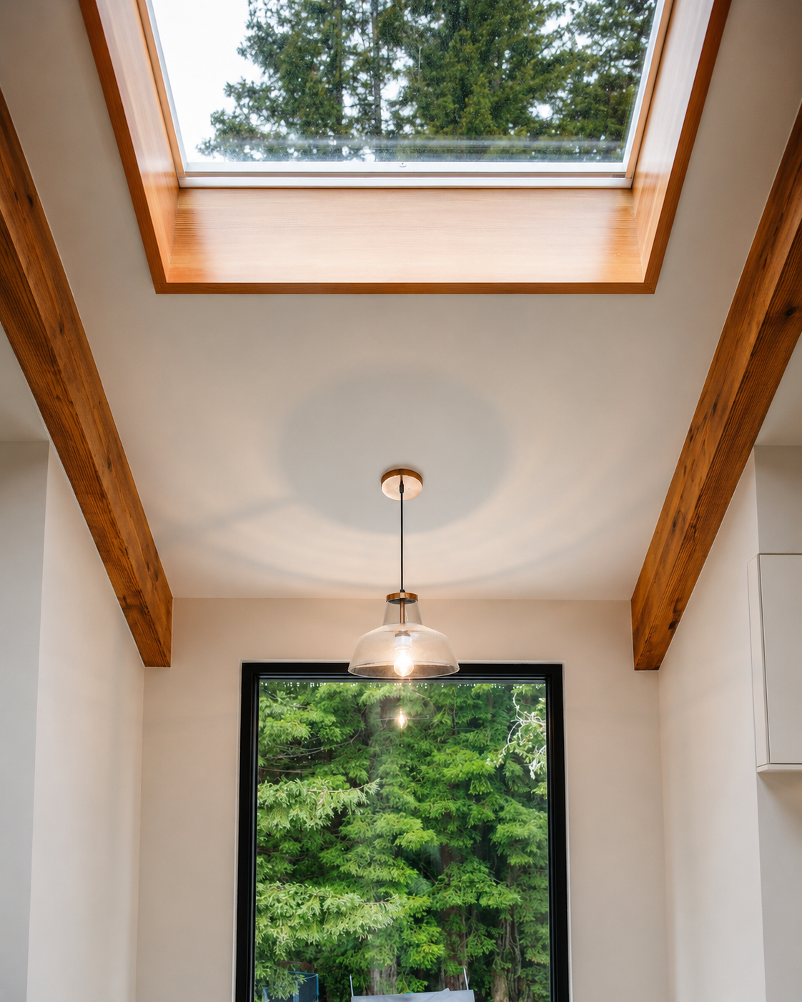 View of a ceiling with a large skylight and a hanging light fixture inside a modern house, with trees visible outside through a window.