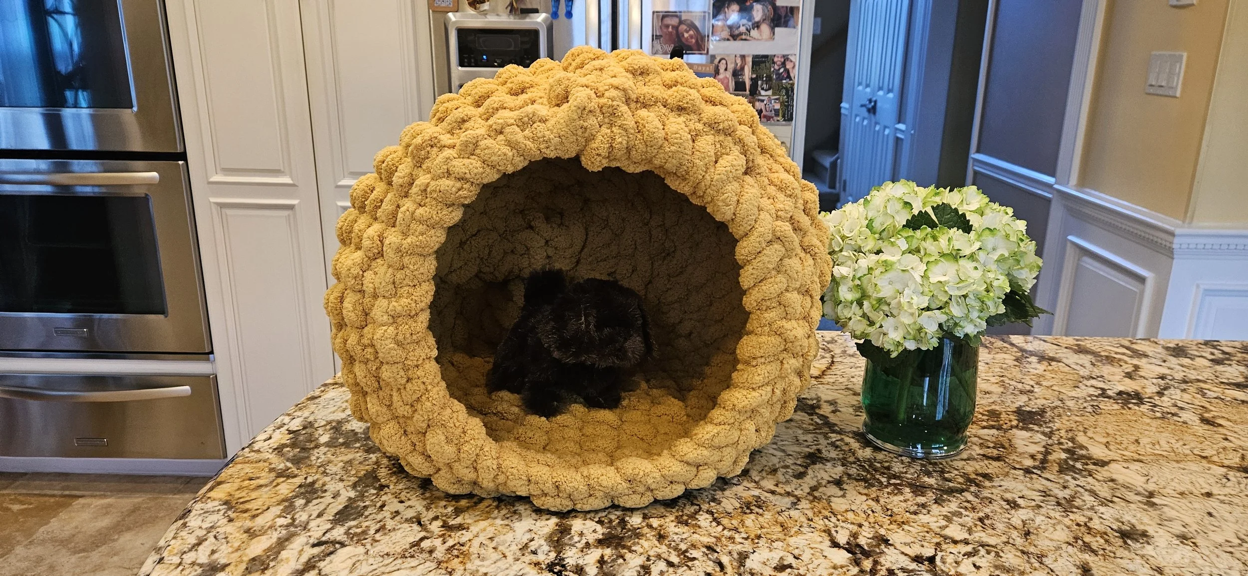 20260317_135556 (1).jpg