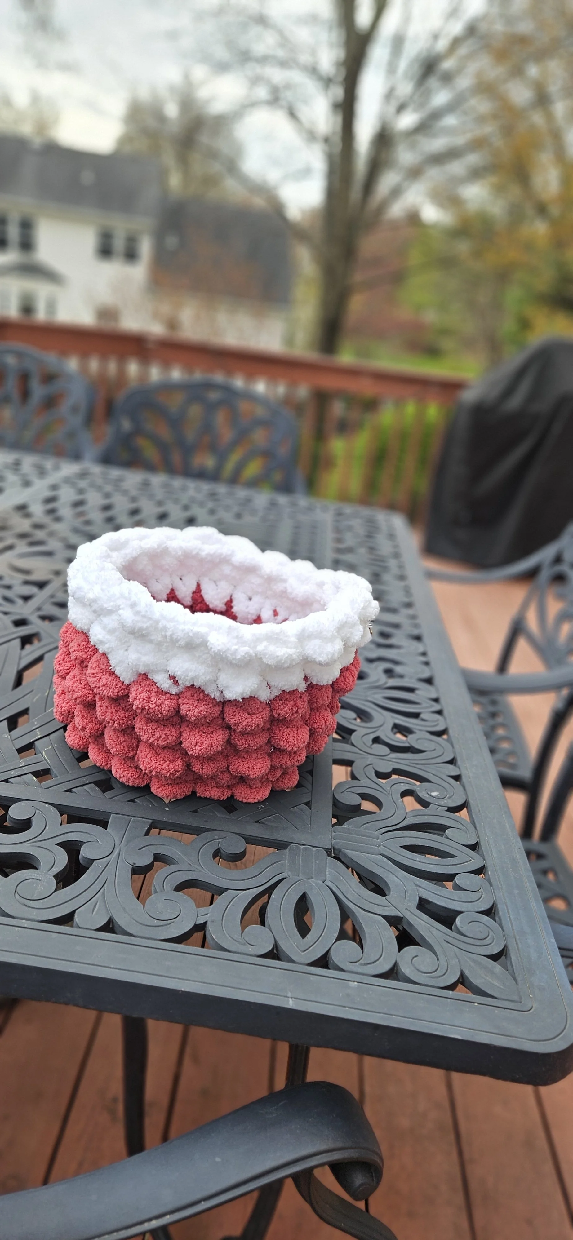 Raspberry Basket 4.jpg
