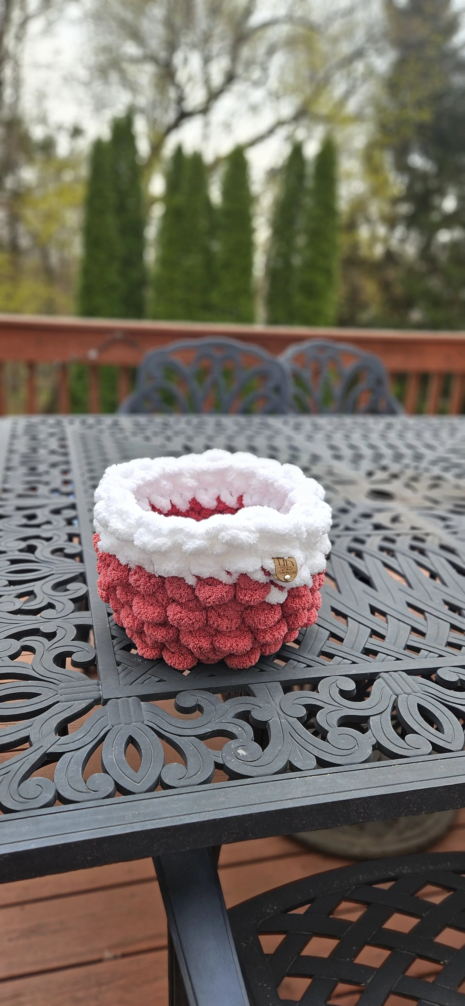 Raspberry Basket 2.jpg