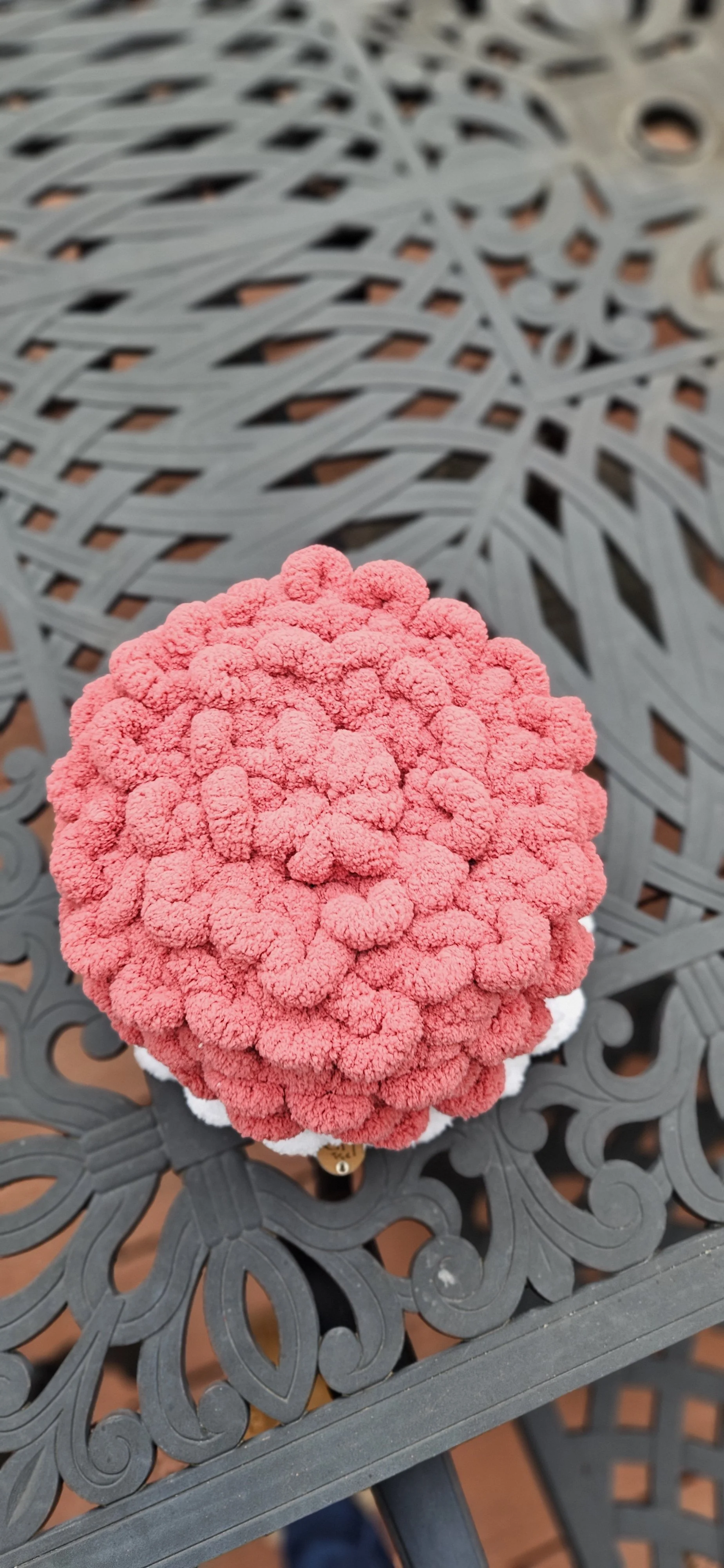 Raspberry Basket 3.jpg