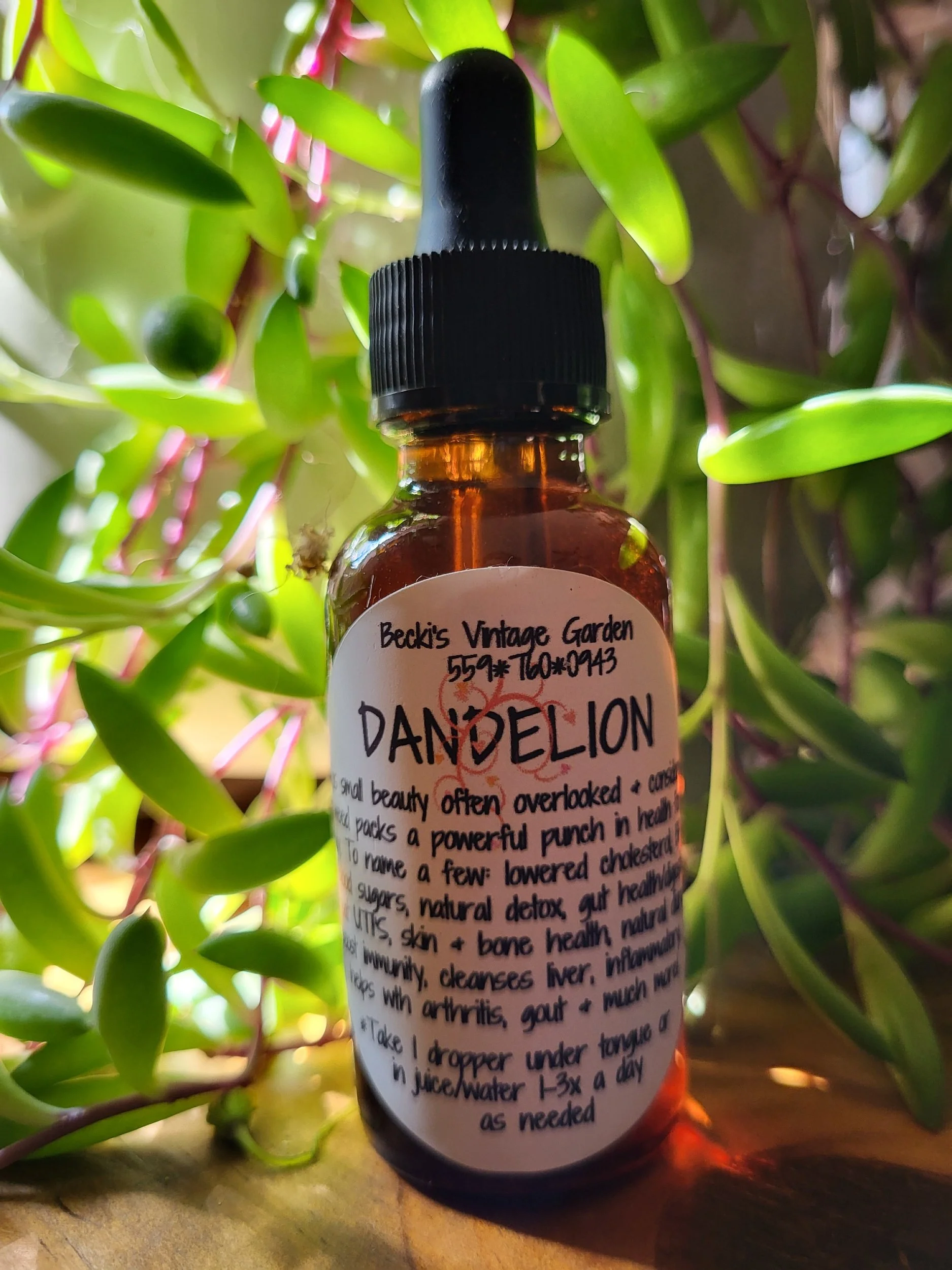 Dandelion Tincture