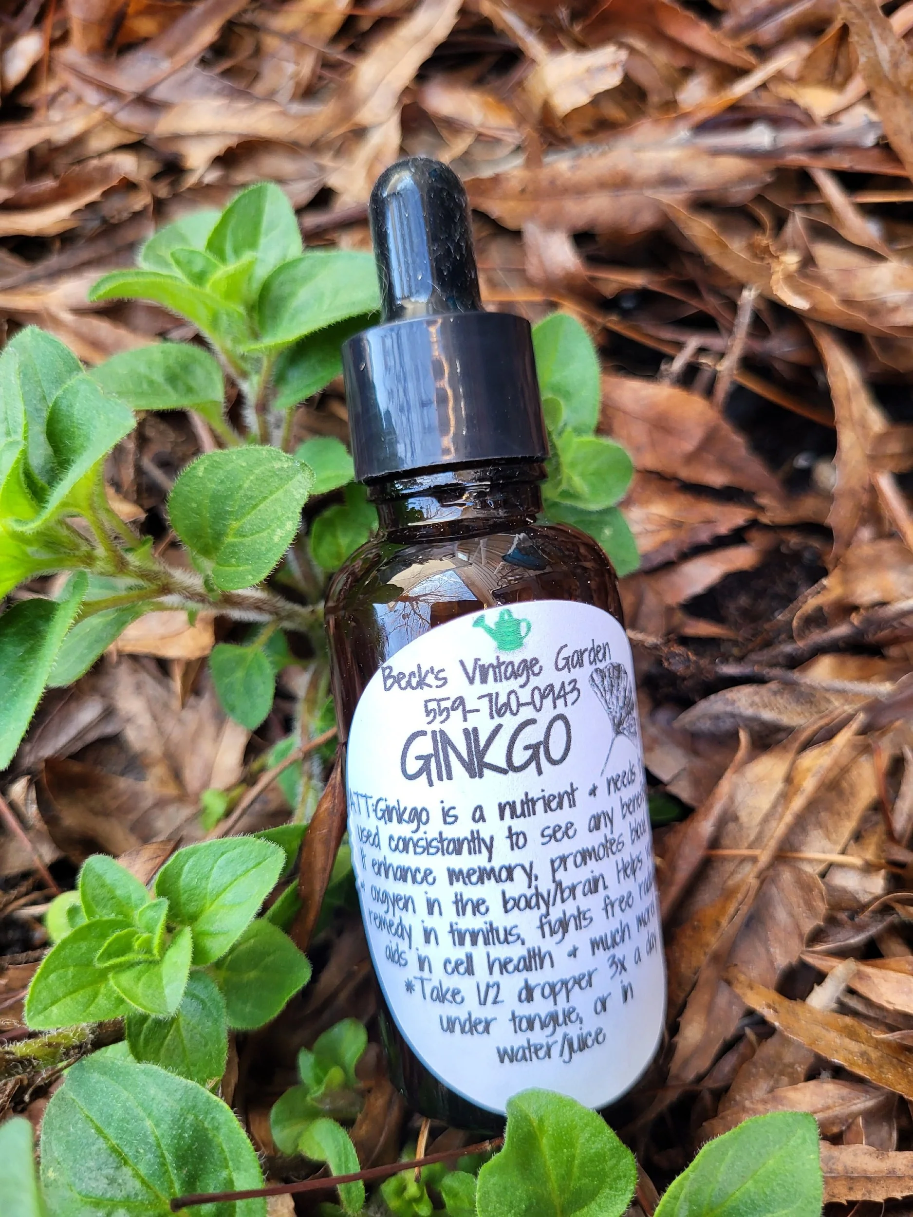 Ginkgo Tincture