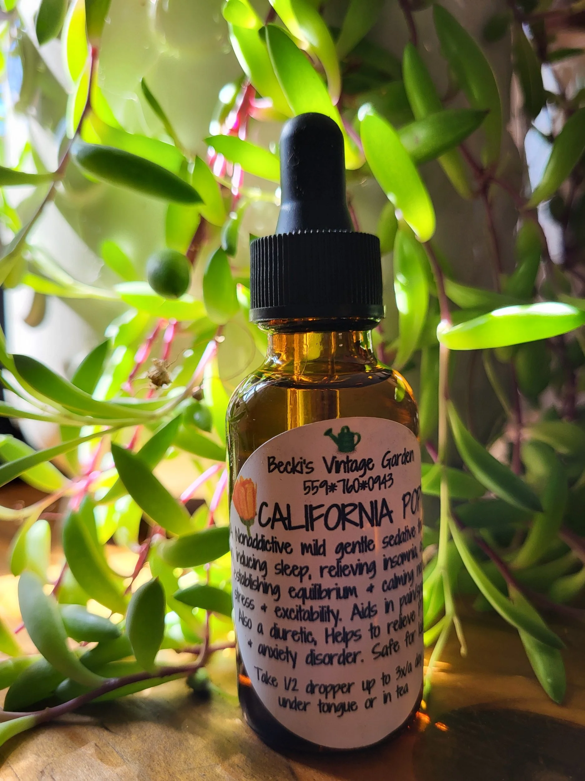 California Poppy Tincture