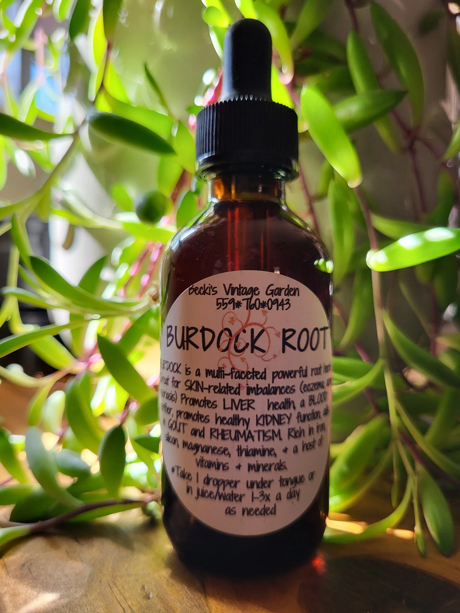 Burdock Root Tincture