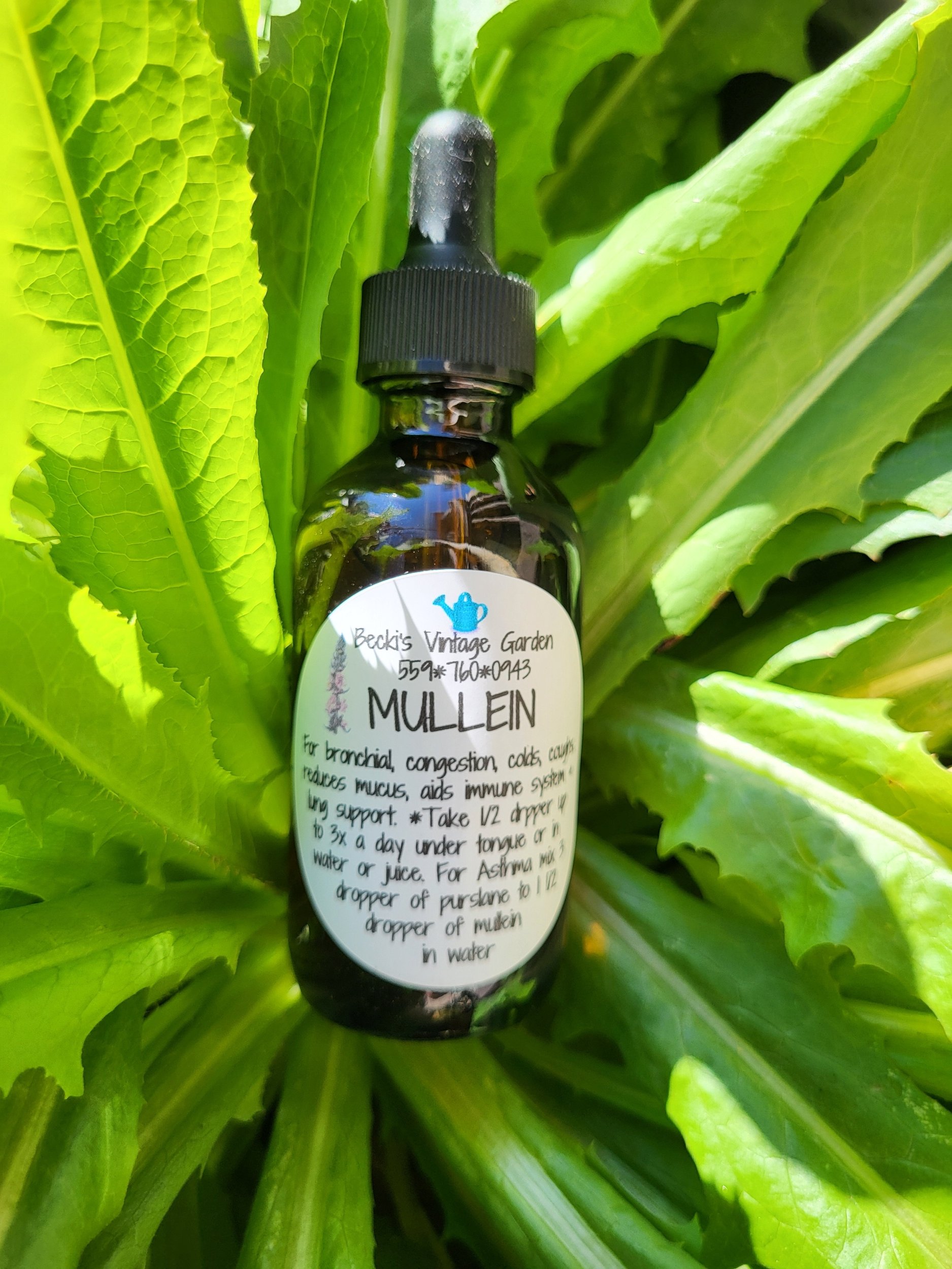 Mullein Tincture