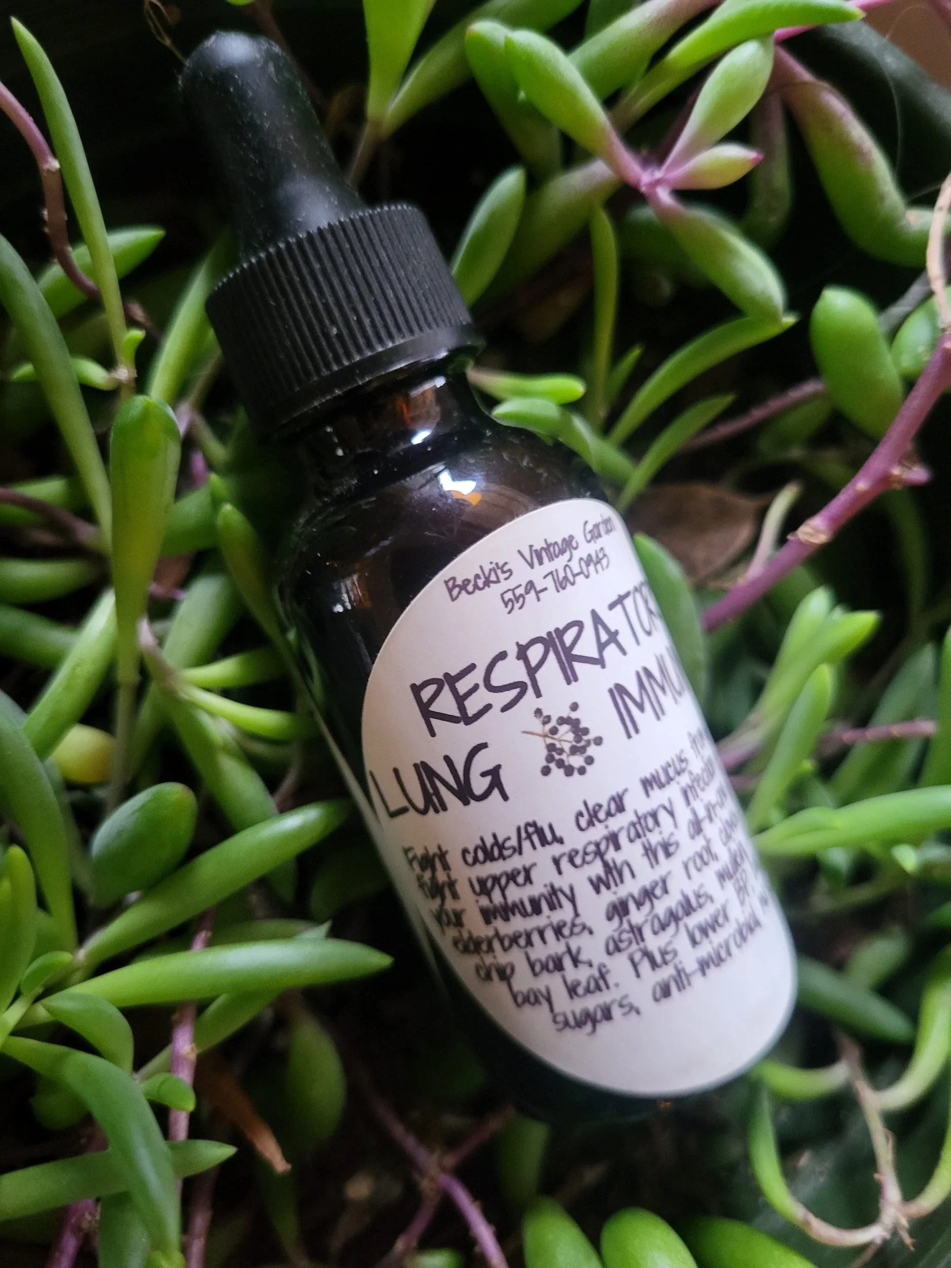 Respiratory Lung + Immunity Tincture