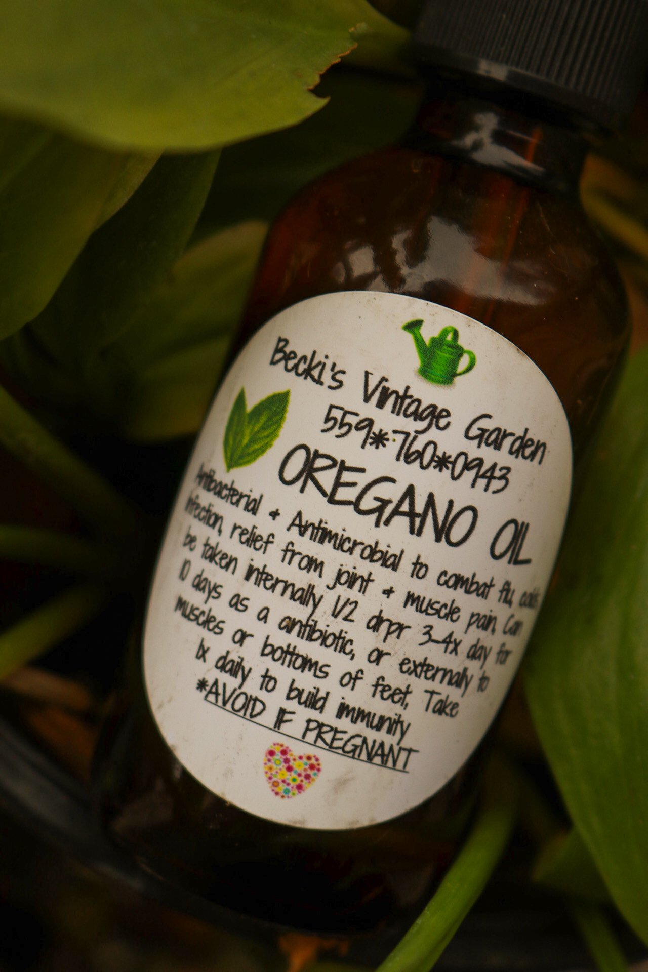 Oregano Oil Tincture