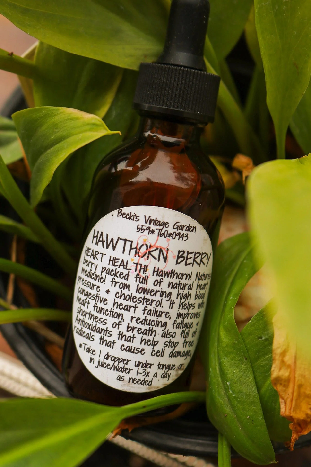 Hawthorn Berry Tincture