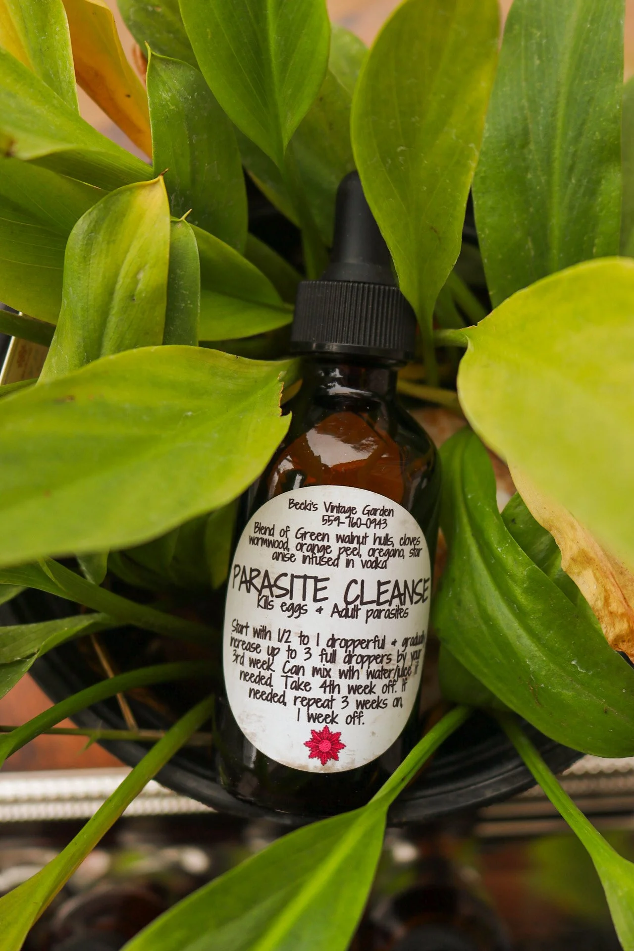 Parasite Cleanse Tincture