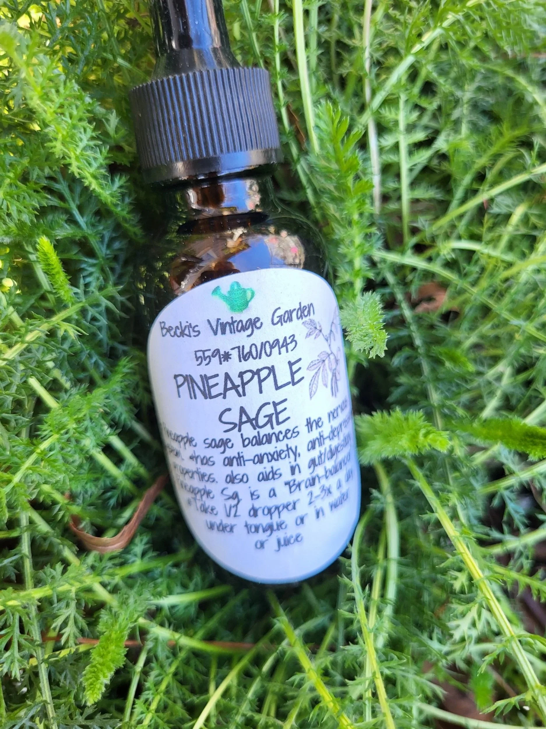 Pineapple Sage Tincture