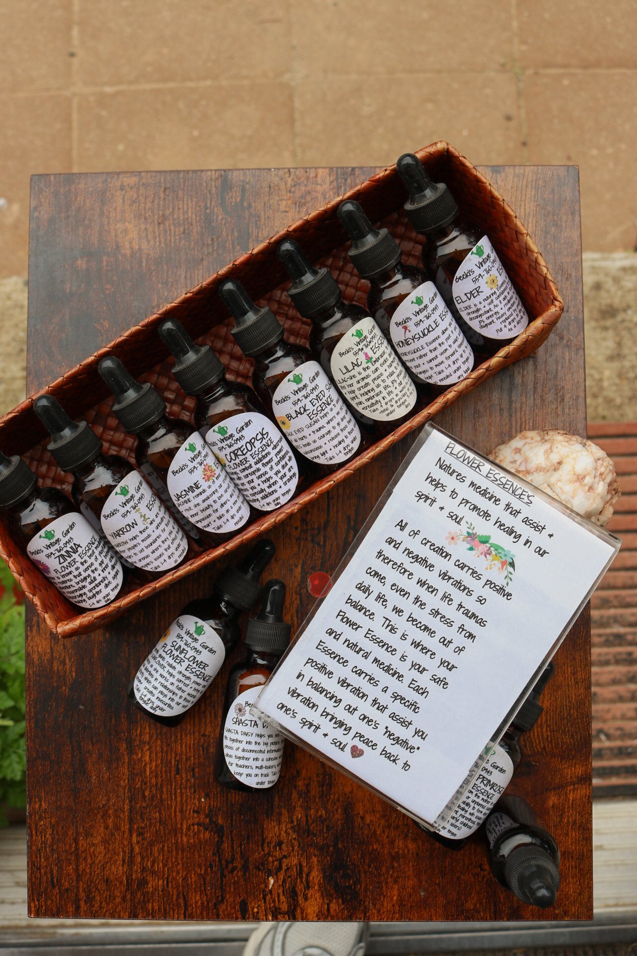 IMG_7454.JPG (Copy) (Copy) (Copy) (Copy) (Copy) (Copy) (Copy) (Copy) (Copy) (Copy) (Copy)