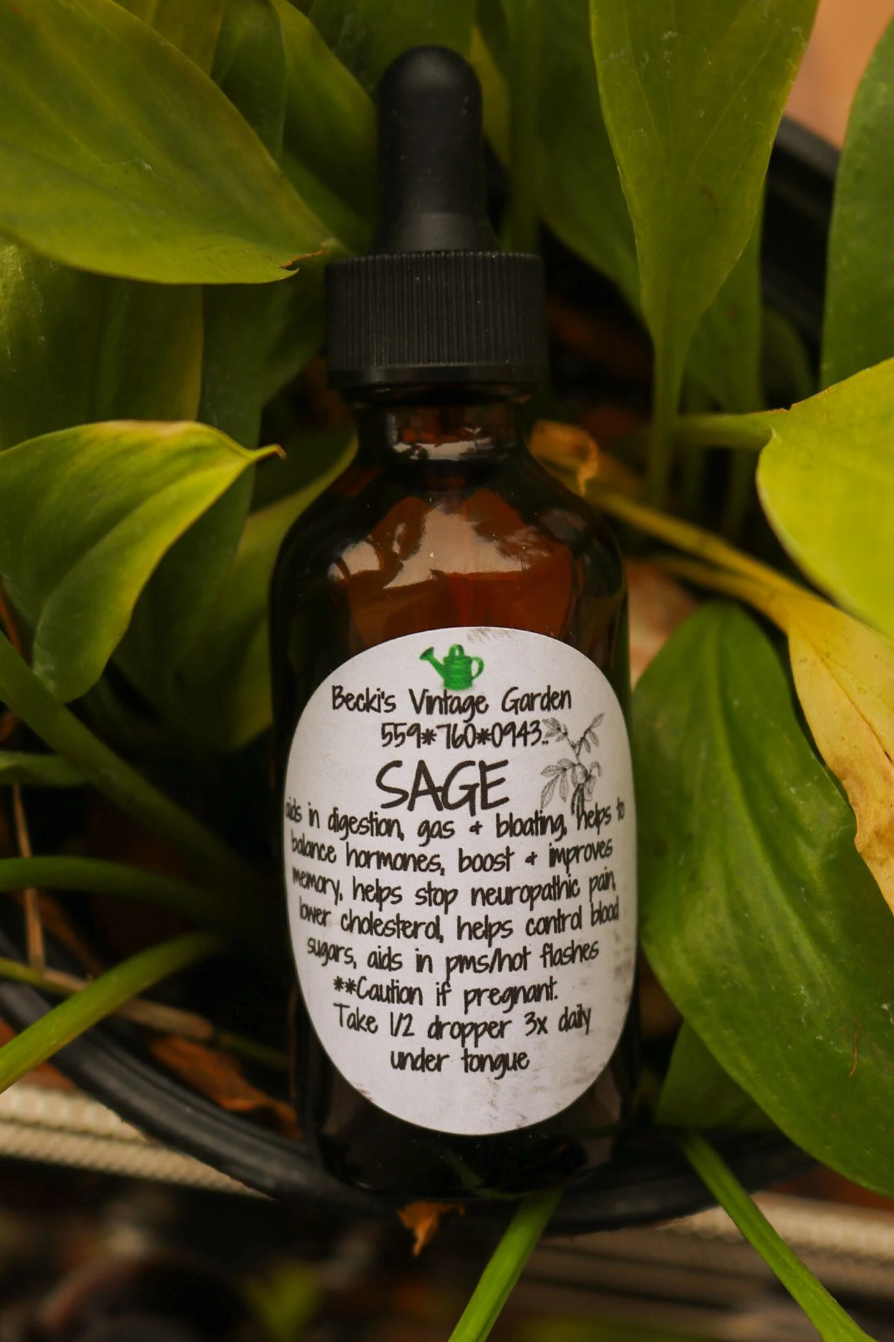 Sage Tincture