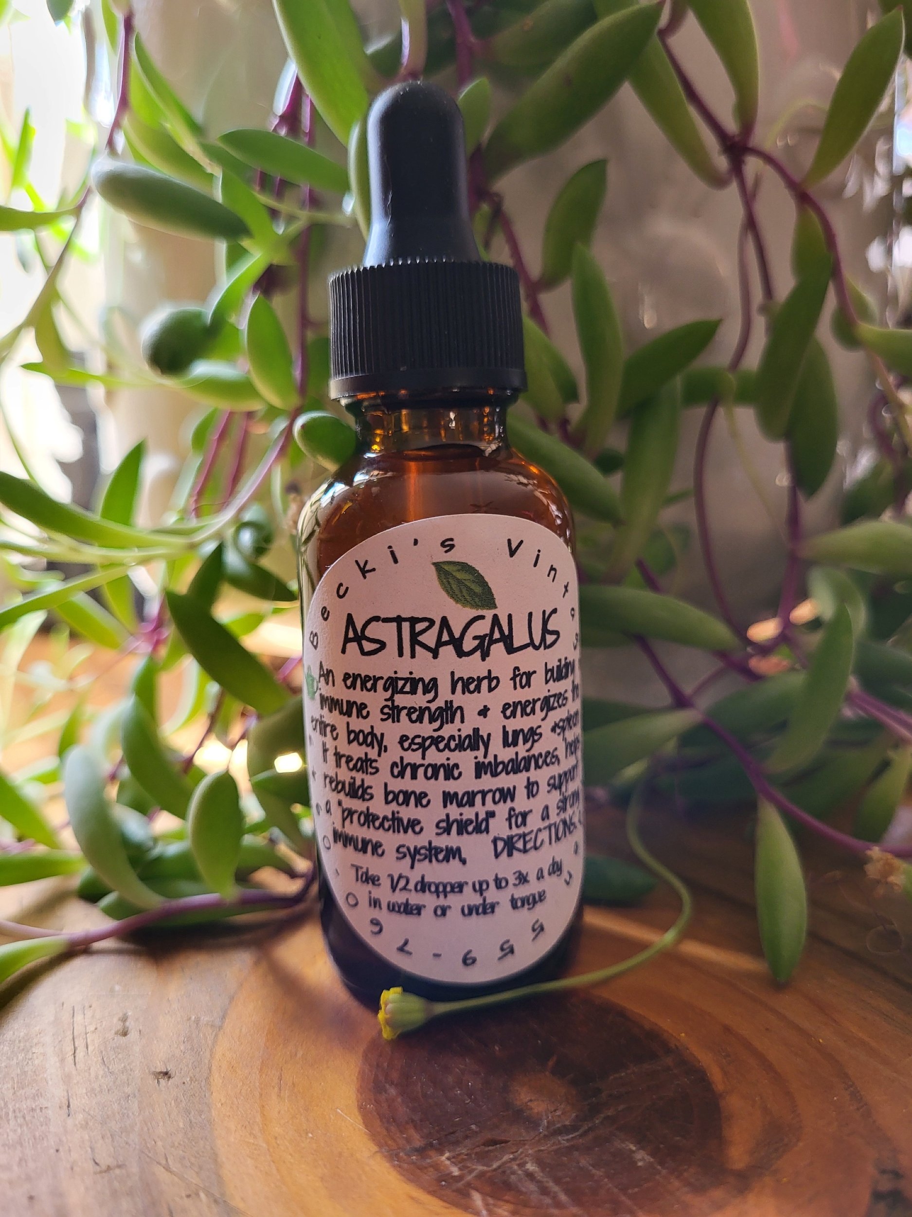 Astragalus Tincture