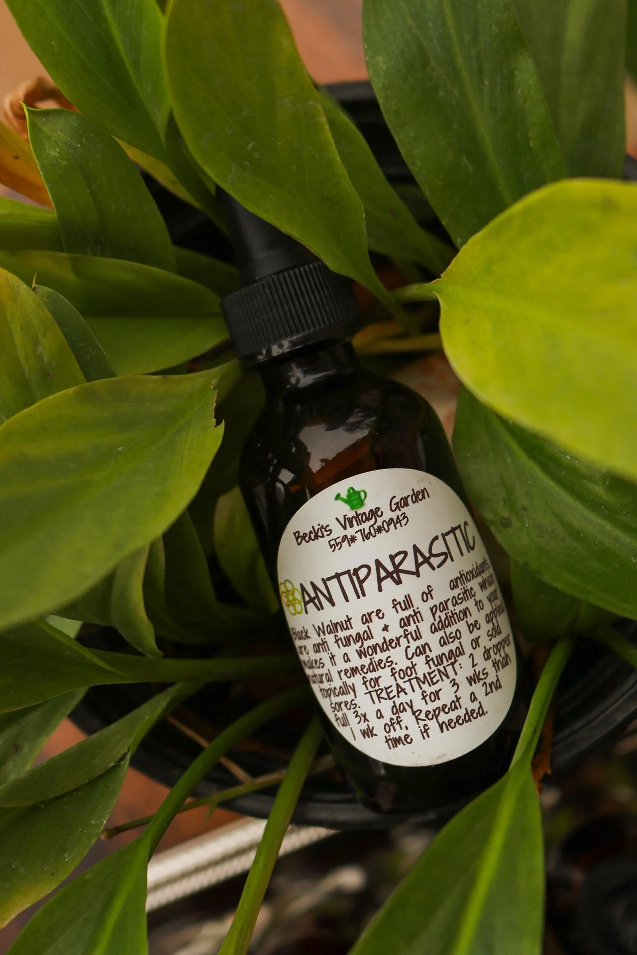 Anti parasitic Tincture