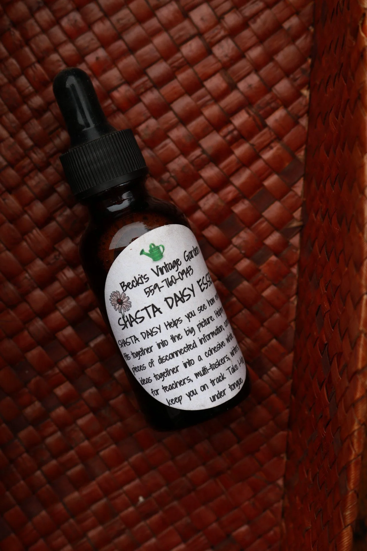 Shasta Daisy Essences