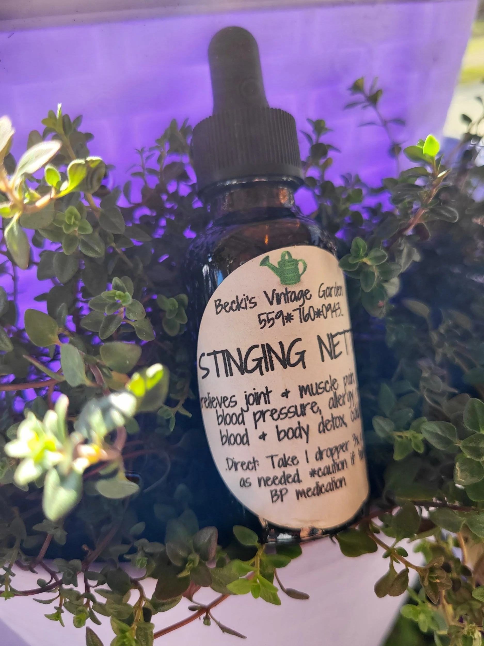 Stinging Nettle Tincture