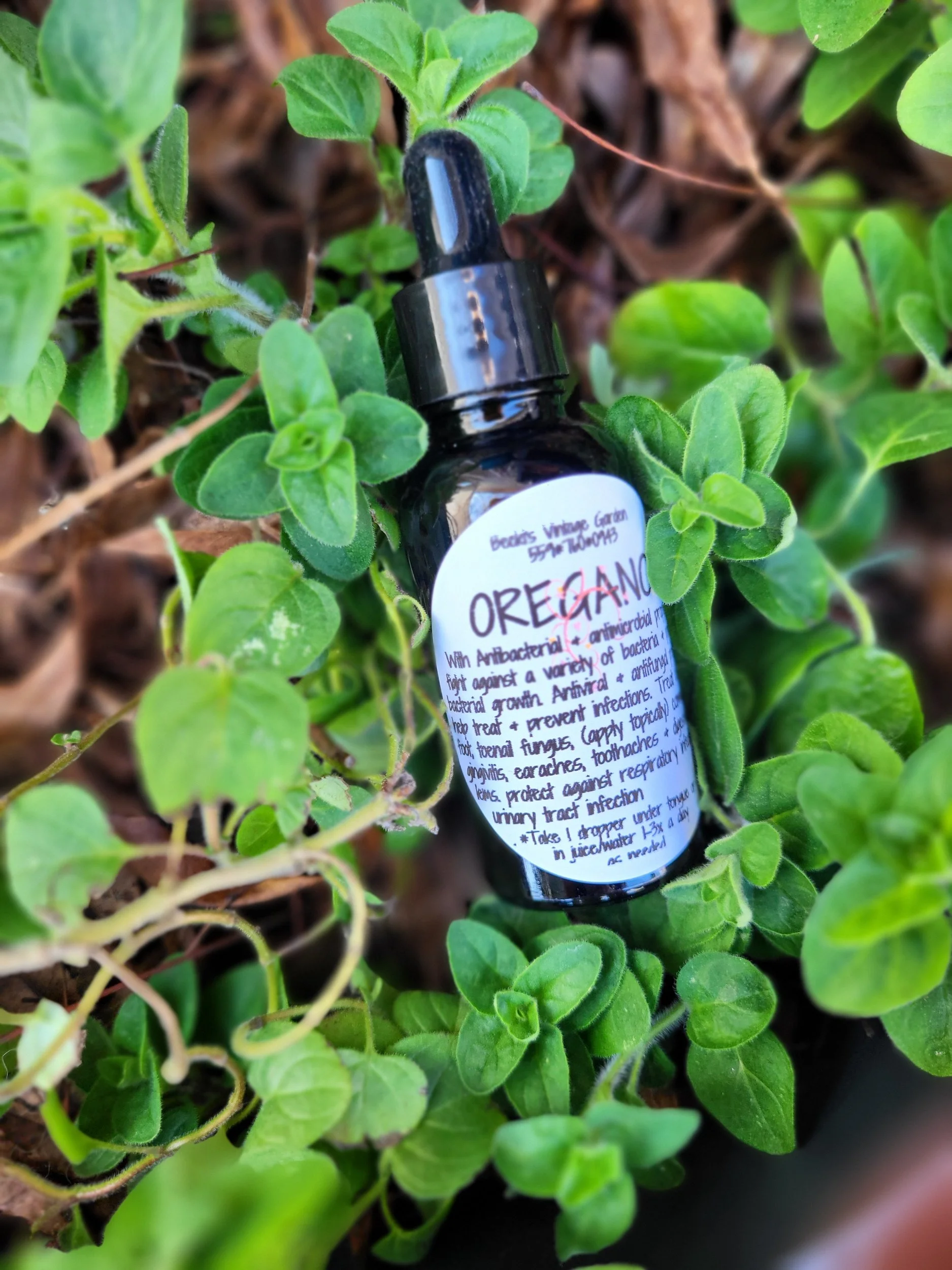 Oregano Tincture