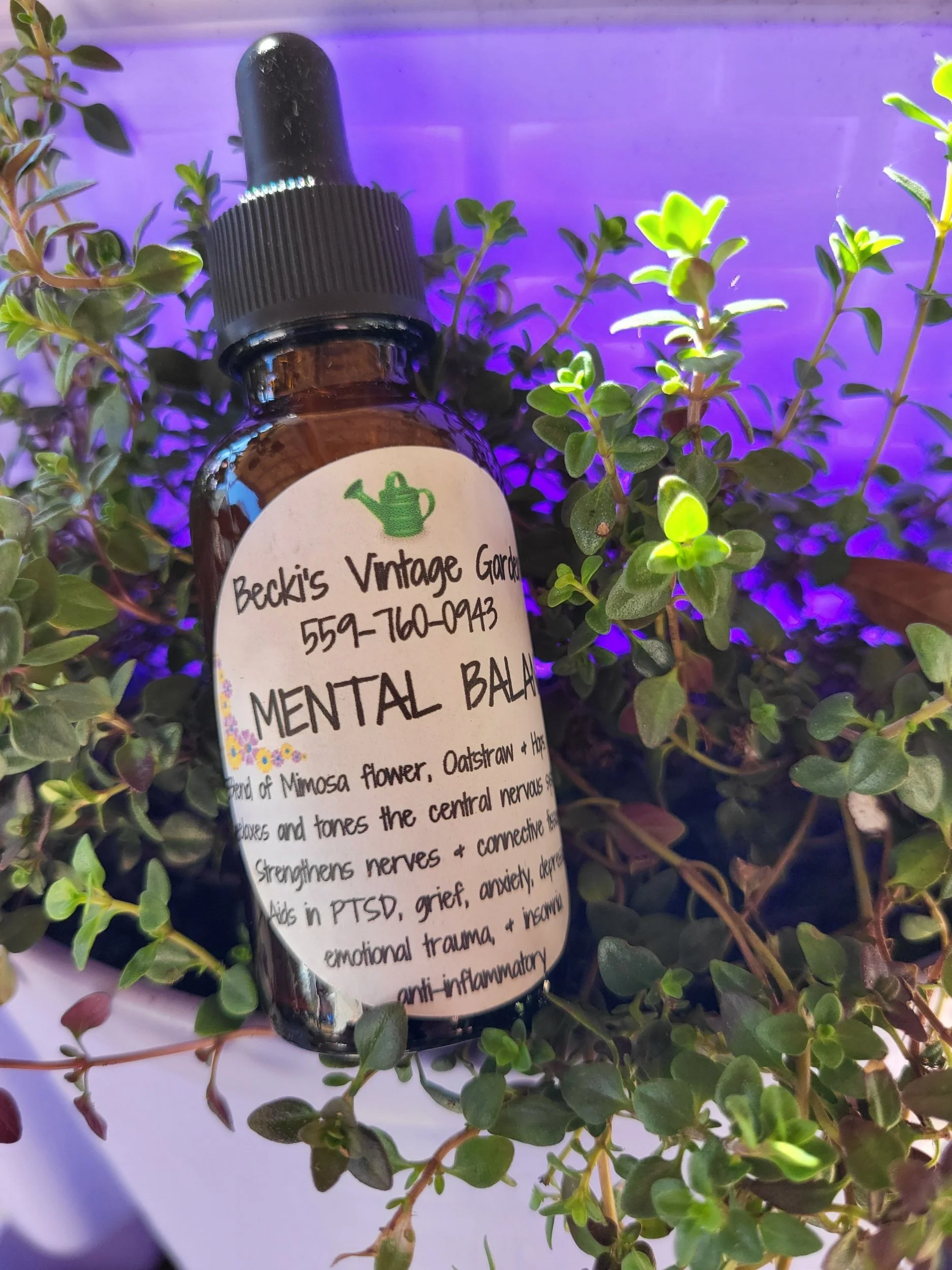 Mental Balance Tincture