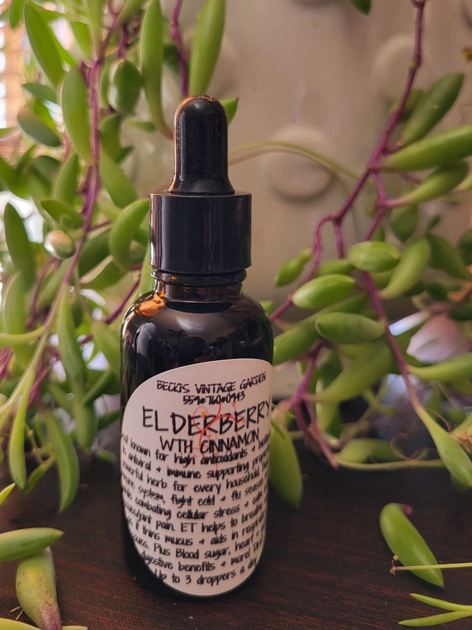 Elderberry Tincture