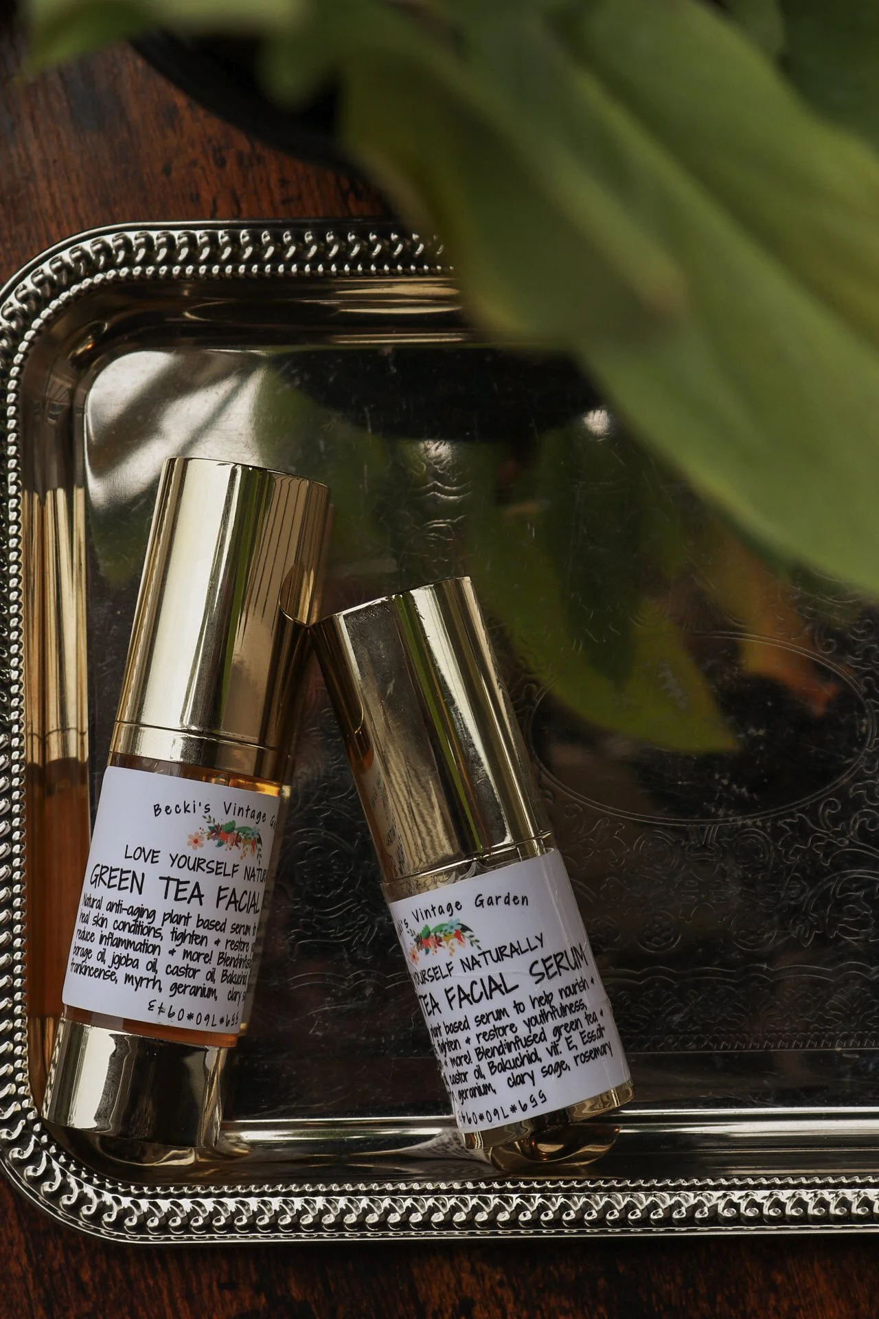 Green Tea Anti-aging  Facial Serum