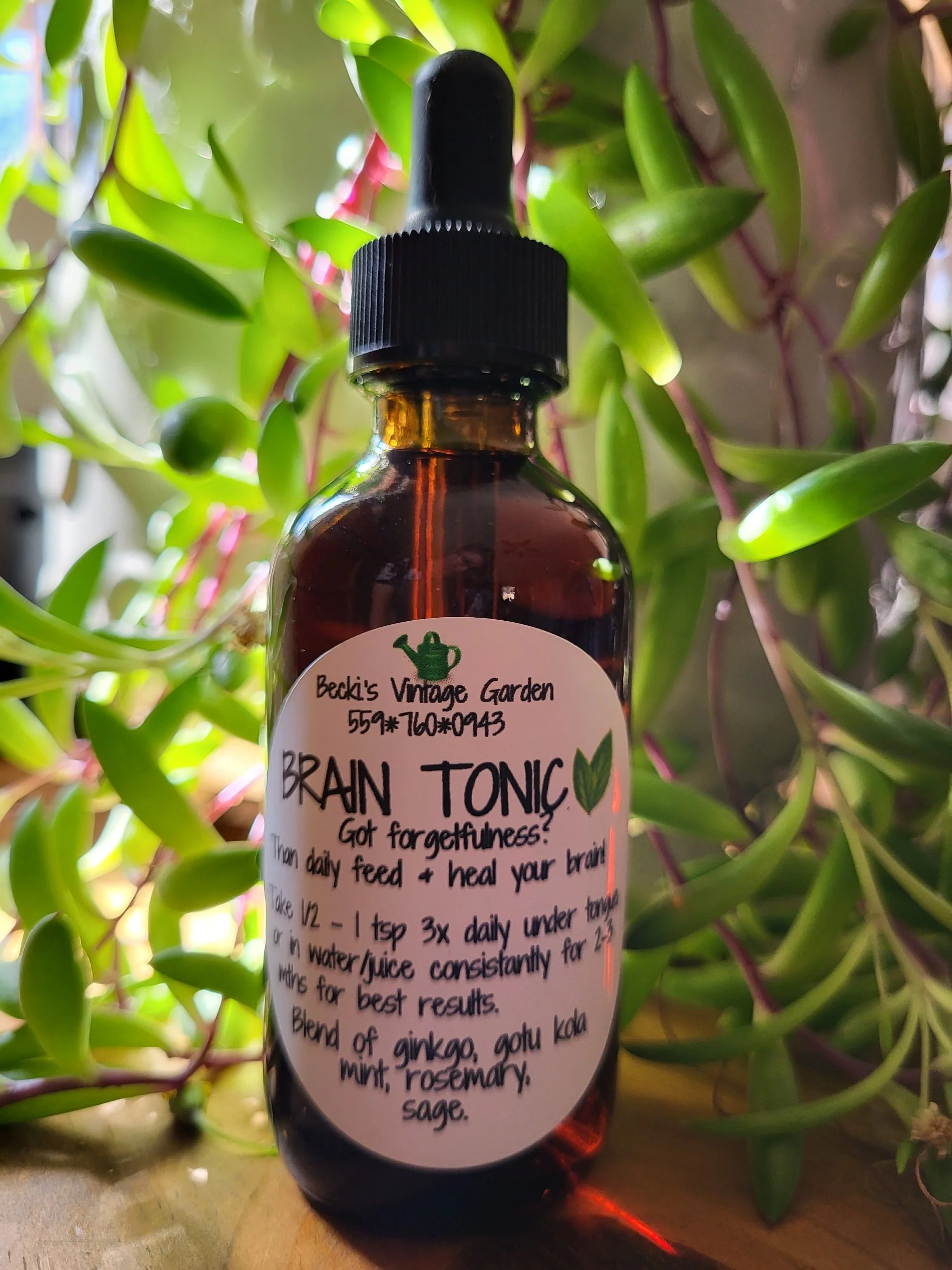 Brain Tonic Tincture
