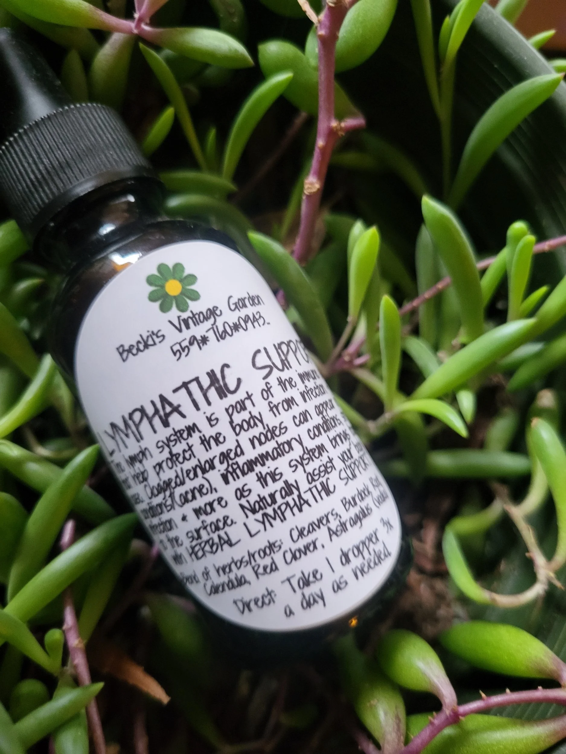 Lymphatic Support Tincture