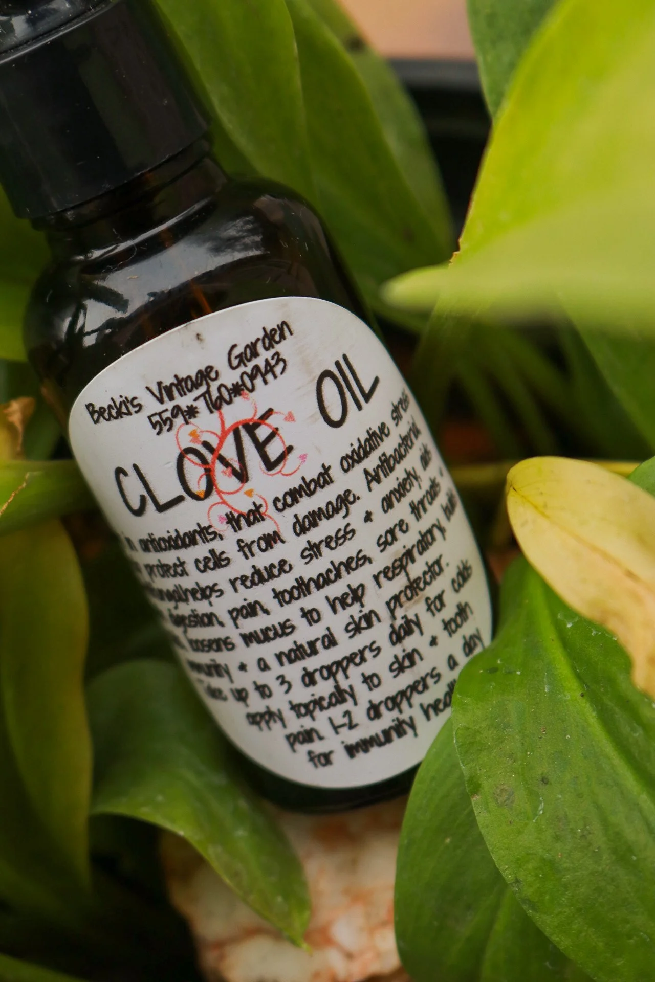 Clove Oil Tincture