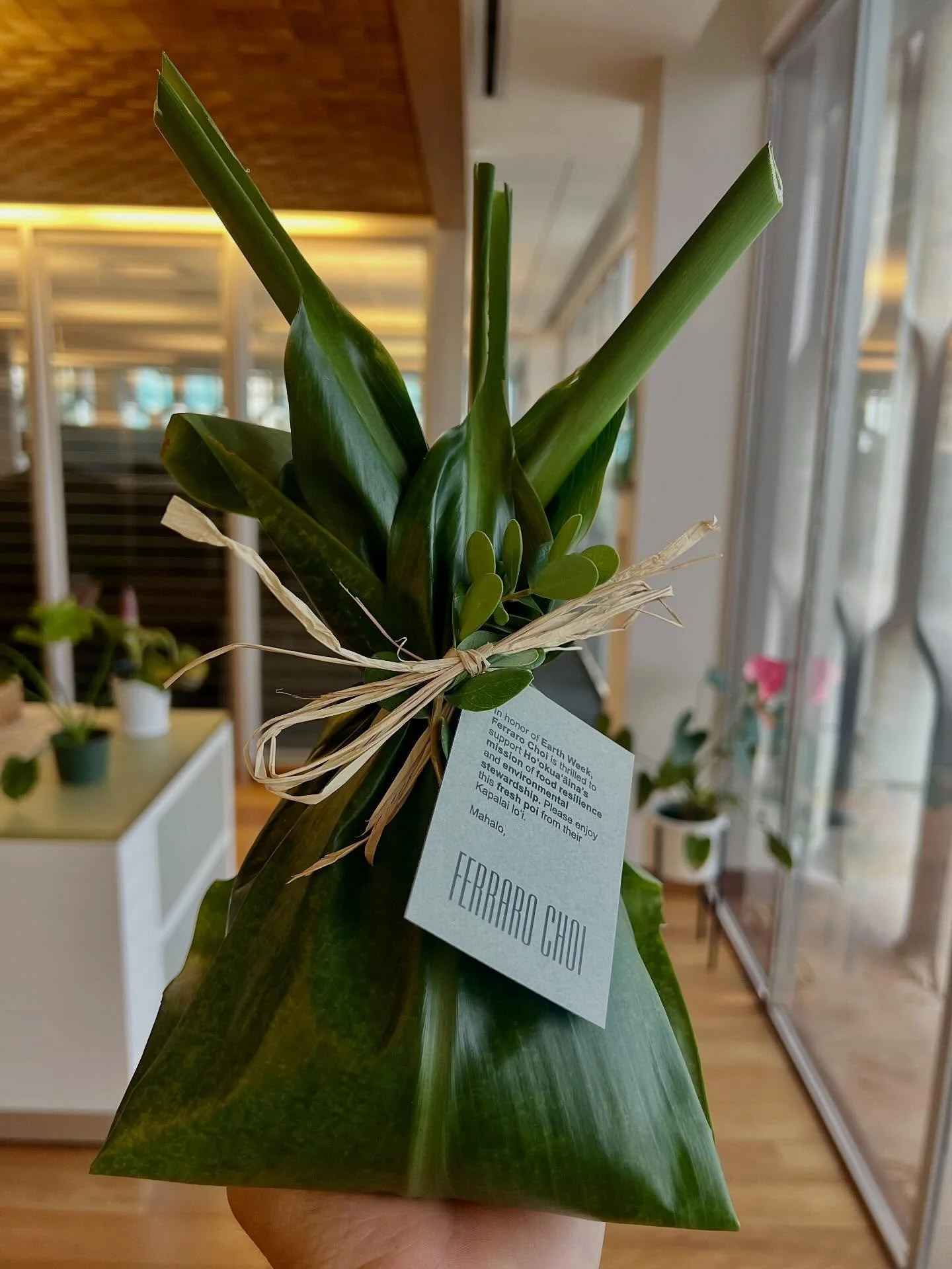 Happy Earth Day!

Ferraro Choi is fortunate to partner with @hookuaaina this year to distribute fresh Kapalai poi to our partners and industry contacts in honor of Earth Day. We&rsquo;re grateful for the many hands that cared for the kalo and made th