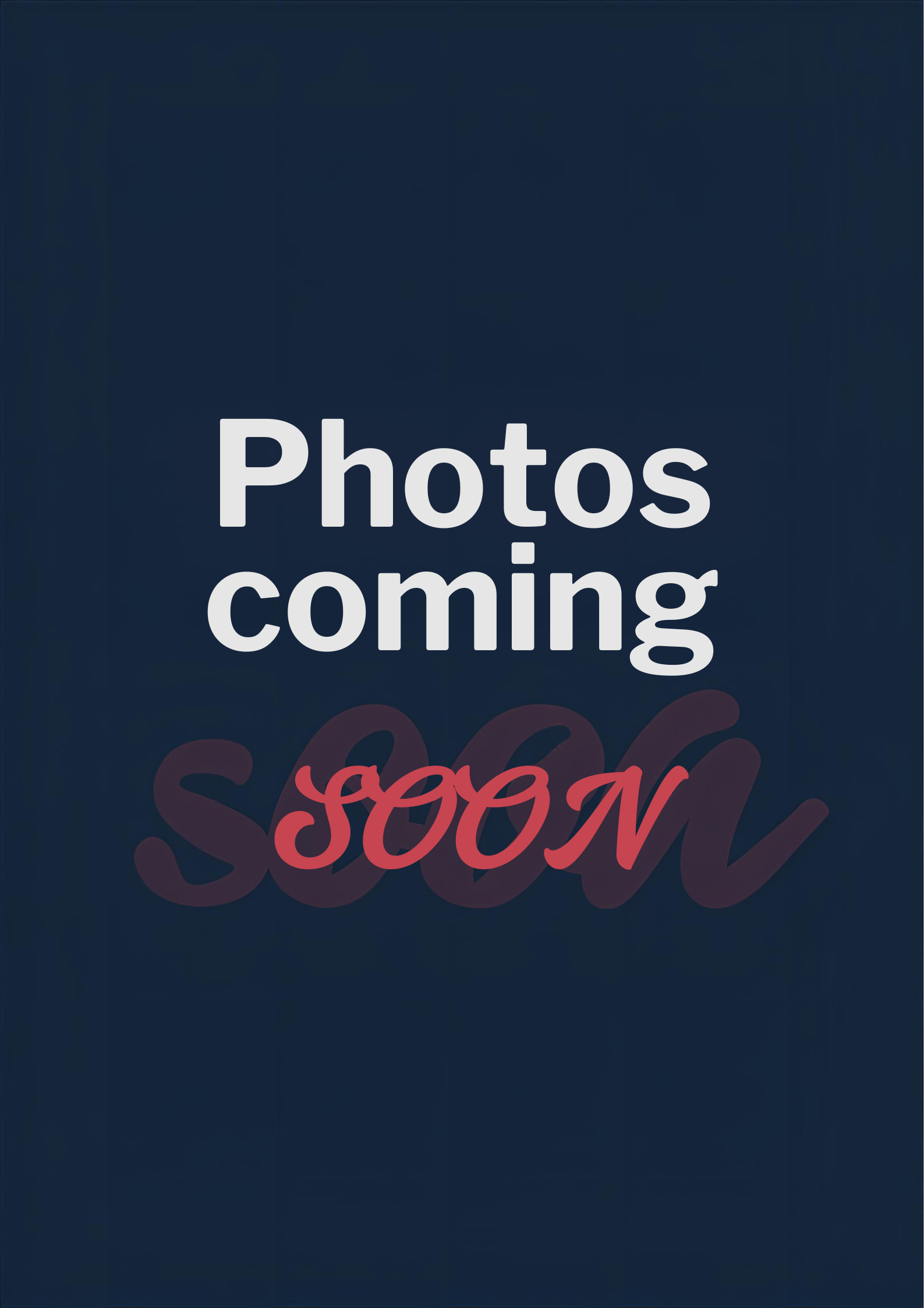 Elegant Digital Banner for Photos Coming Soon.png