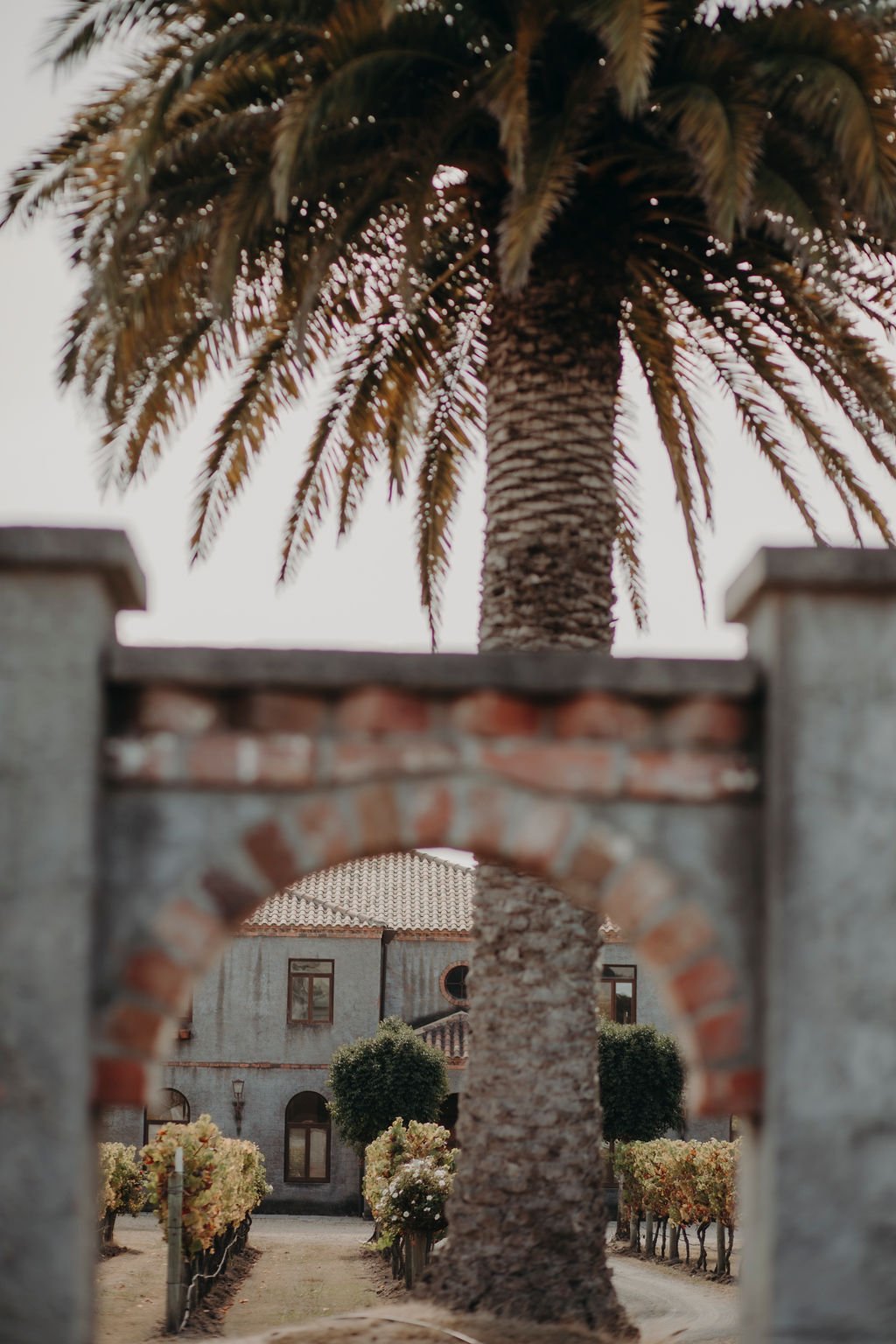 A view through a brick and stone archway of a courtyard with vines, trees, and a rustic house with a tile roof at La Villa Wines in Tasmania.