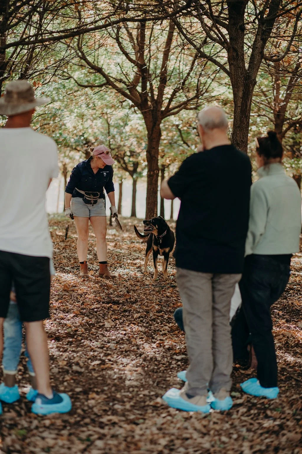 TrailGraze | Guests watch a truffle dog in action during a guided hunt at The Truffle Farm, standing among the trees as fresh truffles are uncovered from the forest floor.