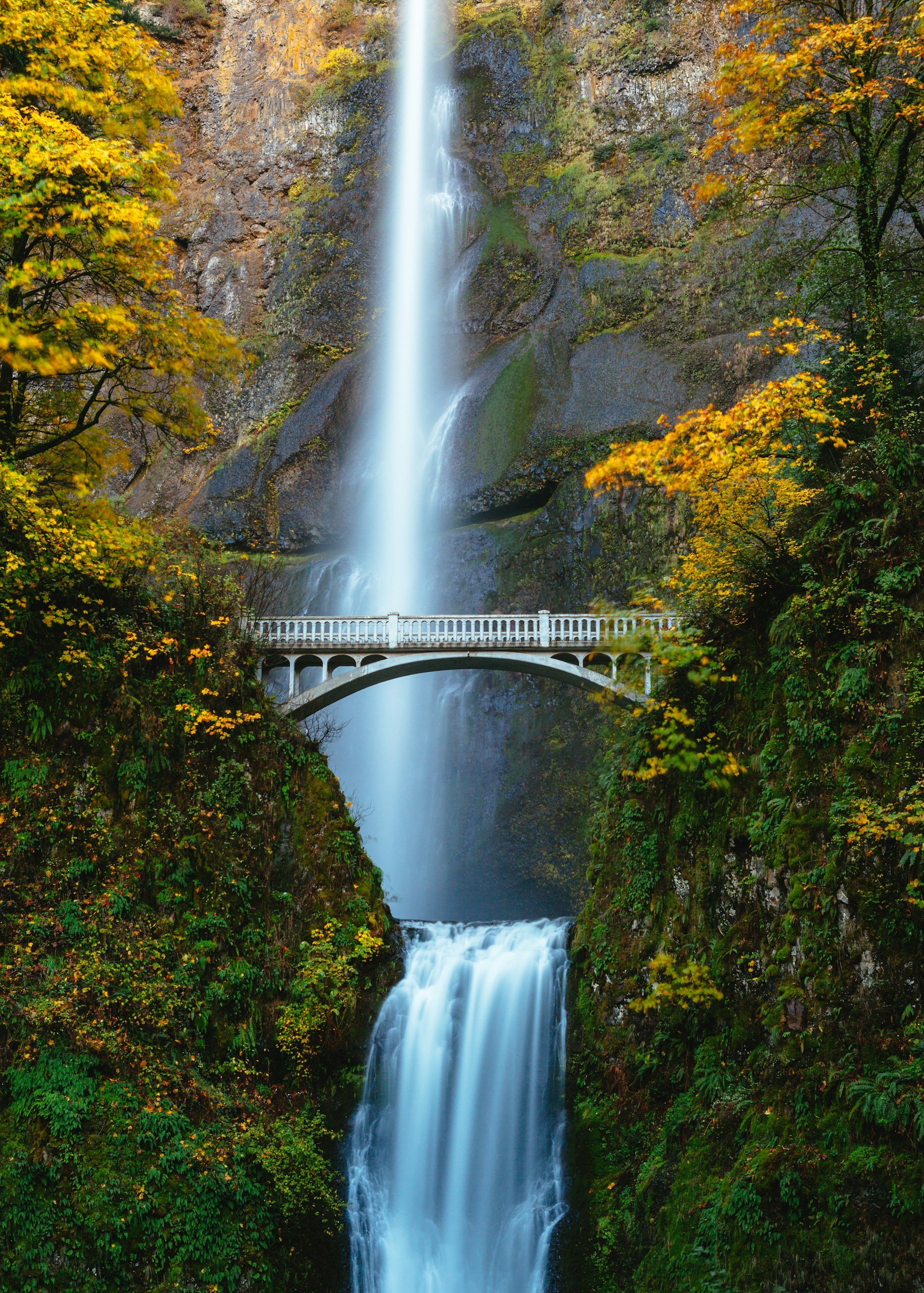A tall waterfall cascading down a rocky cliff with a white bridge spanning the gorge, surrounded by autumn-colored trees. Online therapy in Oregon, Portlan, telehealth, LQBTQ+