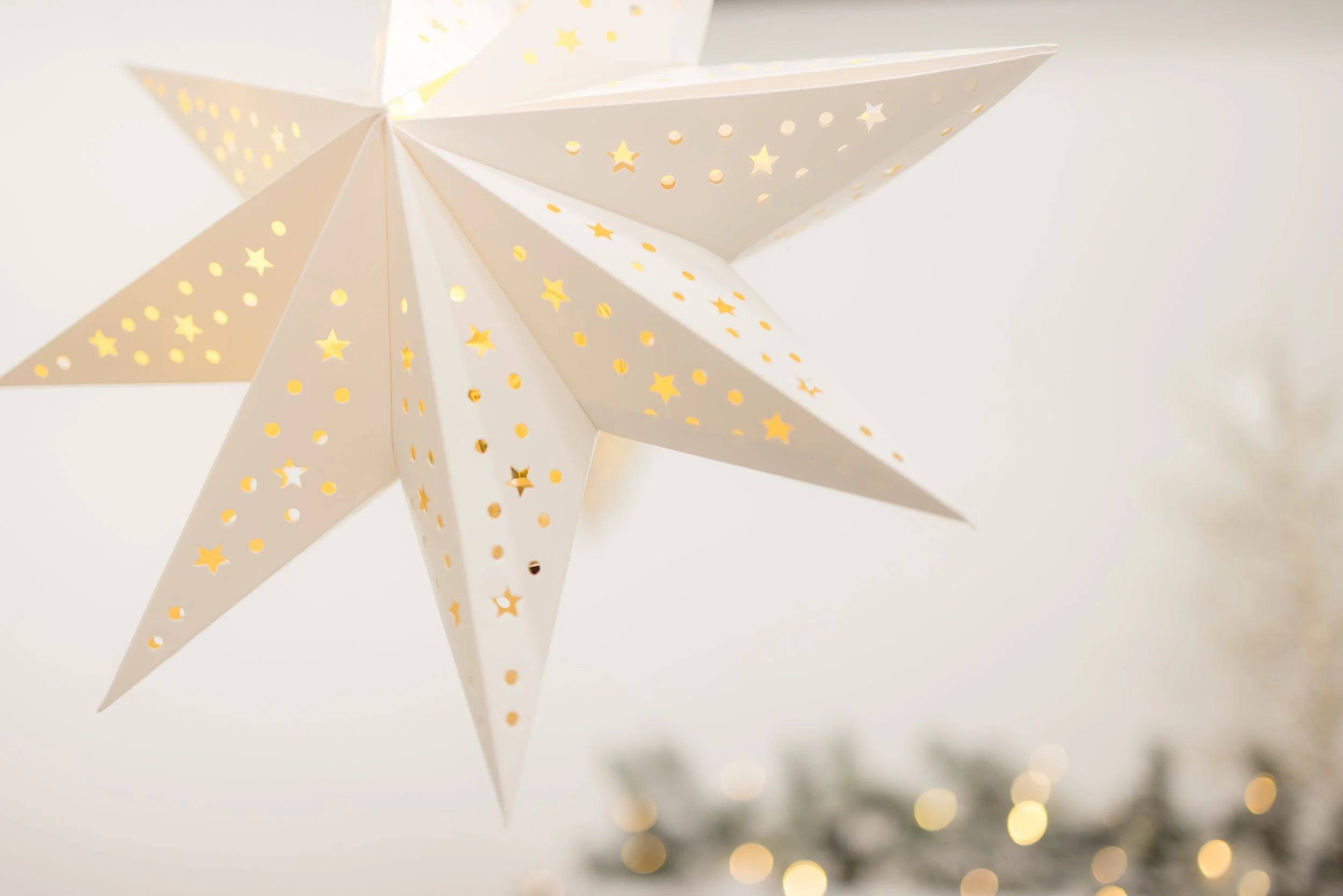 ORLANDO CHRISTMAS MINIS CENTRAL FLORIDA MINI SESSIONS CARO MONT PHOTOGRAPHY 2025-105.jpg