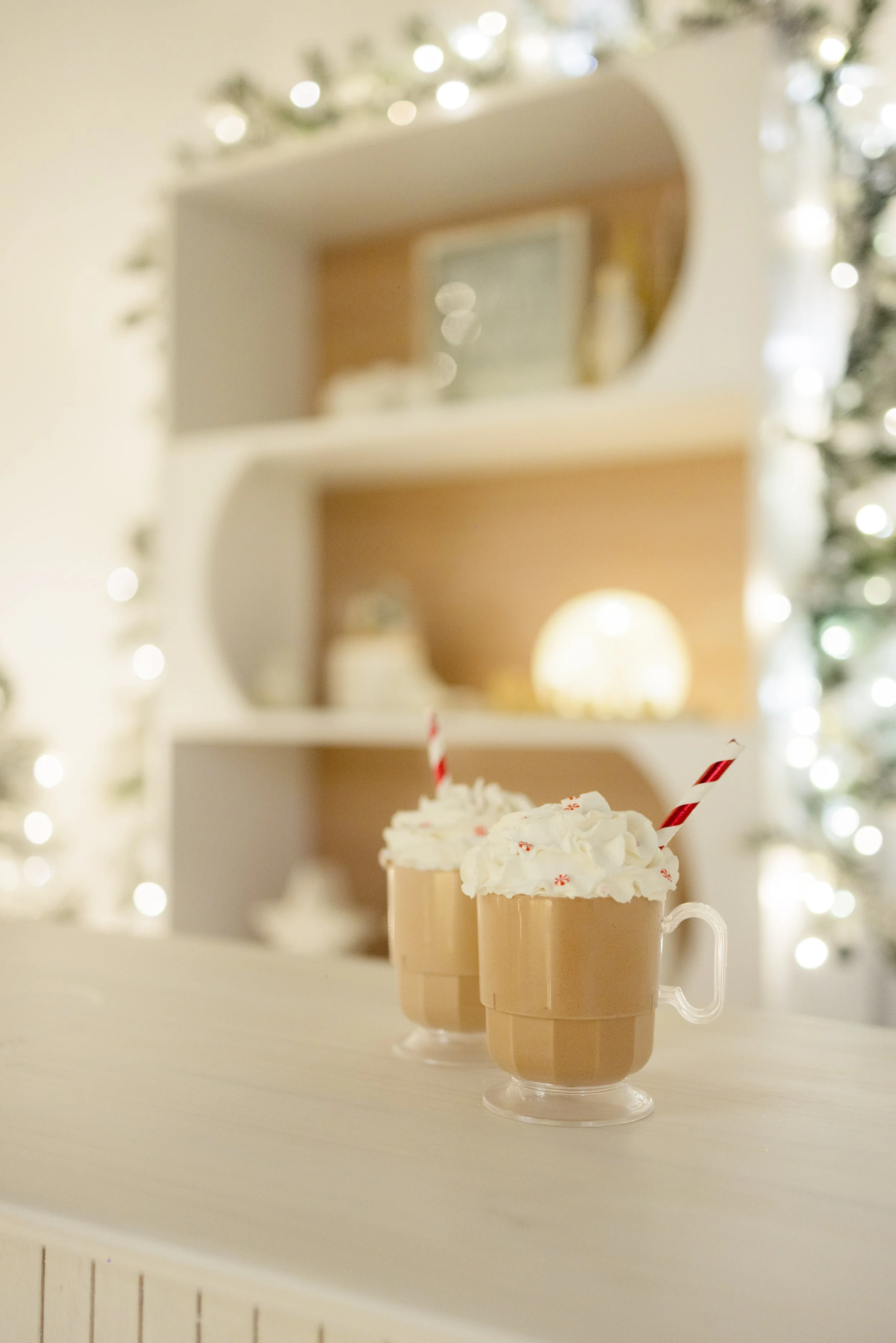 ORLANDO CHRISTMAS MINIS CENTRAL FLORIDA MINI SESSIONS CARO MONT PHOTOGRAPHY 2025-69.jpg