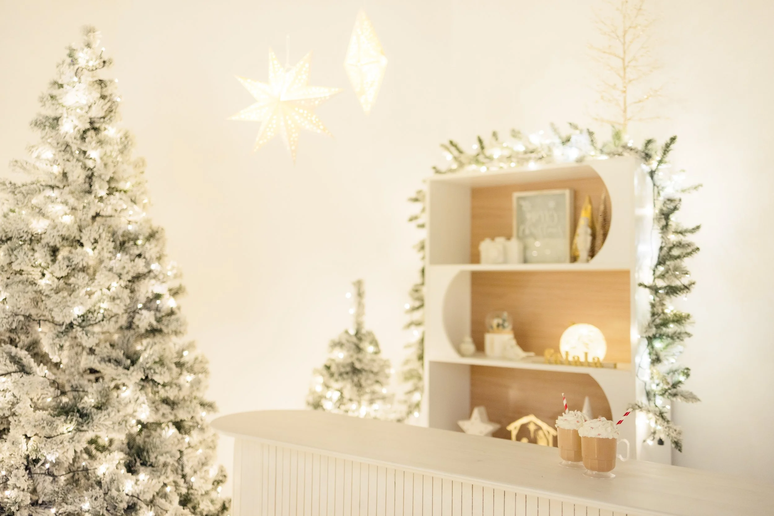 ORLANDO CHRISTMAS MINIS CENTRAL FLORIDA MINI SESSIONS CARO MONT PHOTOGRAPHY 2025-73.jpg