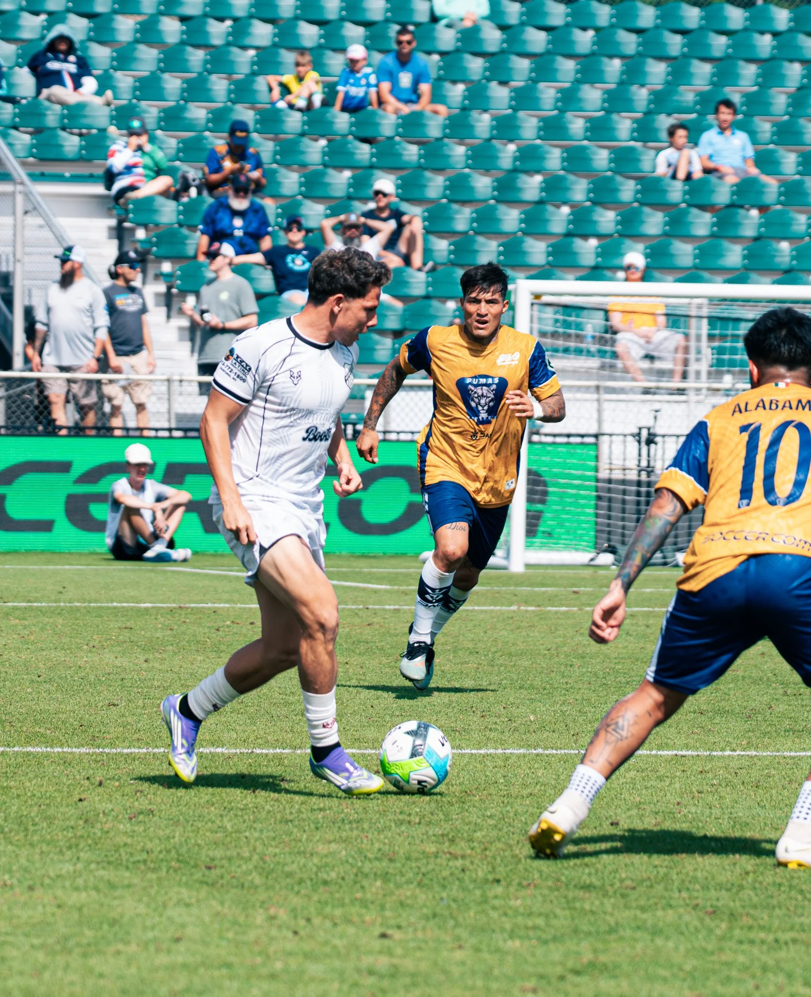 Pumas-138.jpg