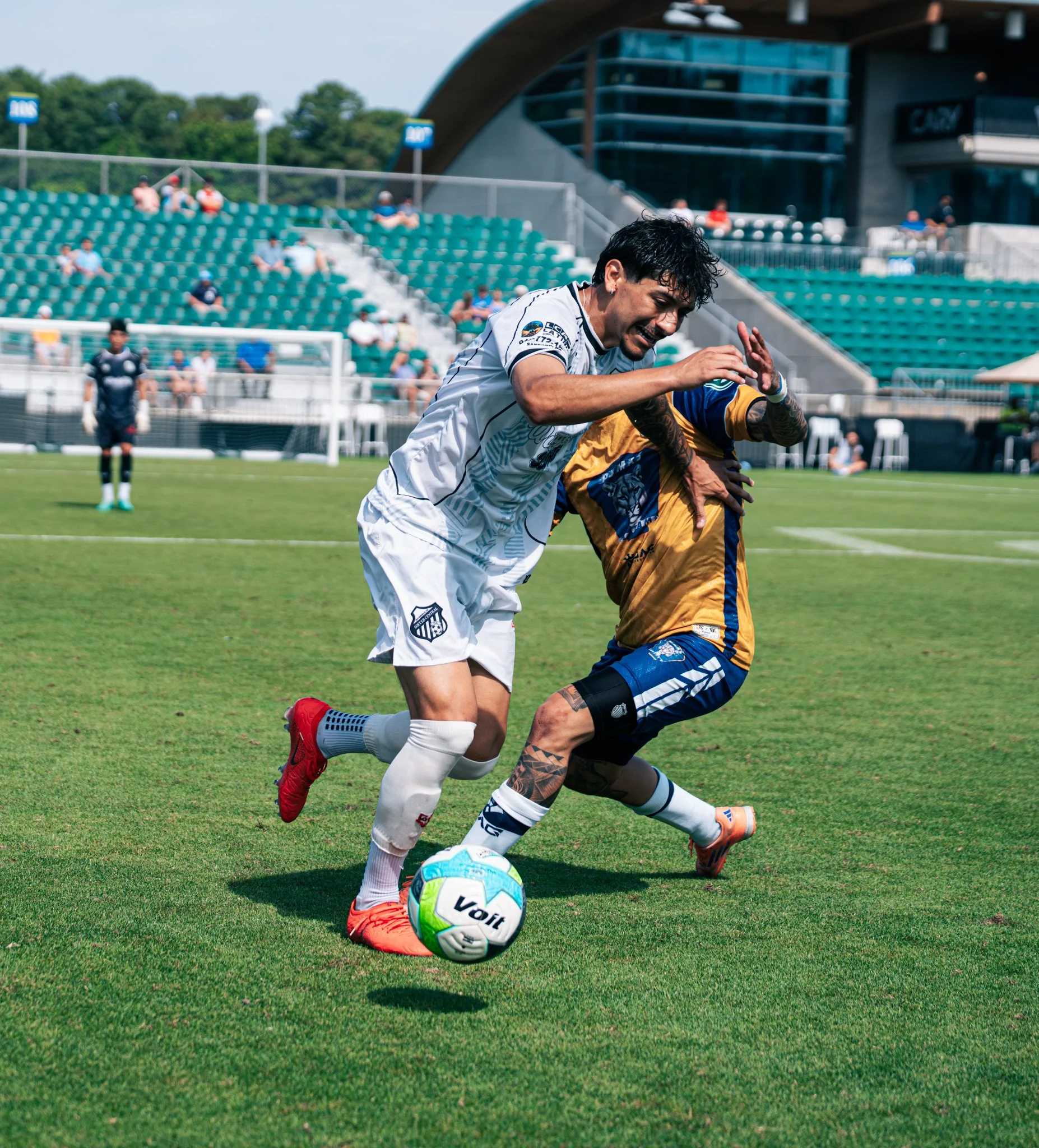 Pumas-135.jpg