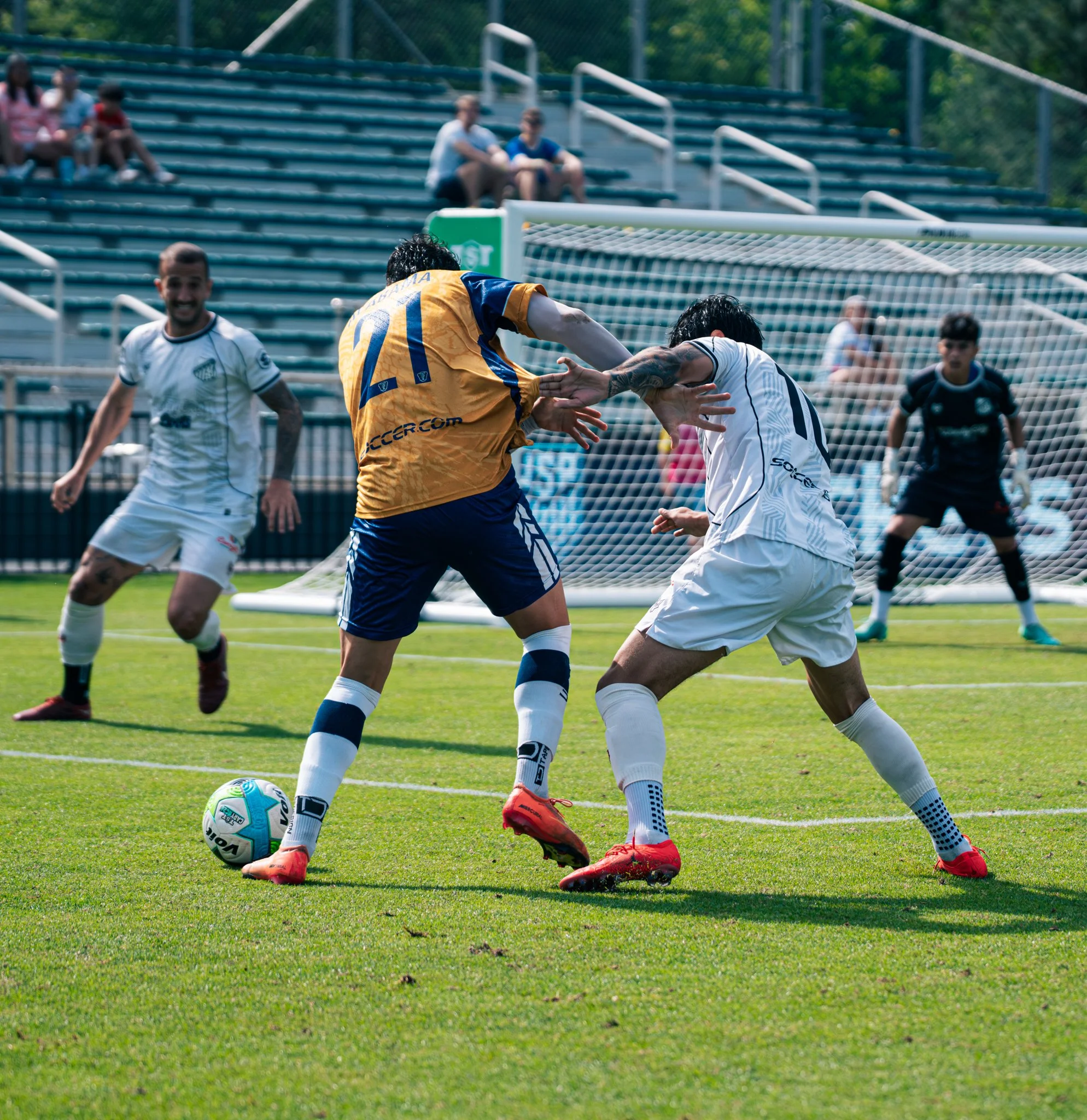 Pumas-186.jpg